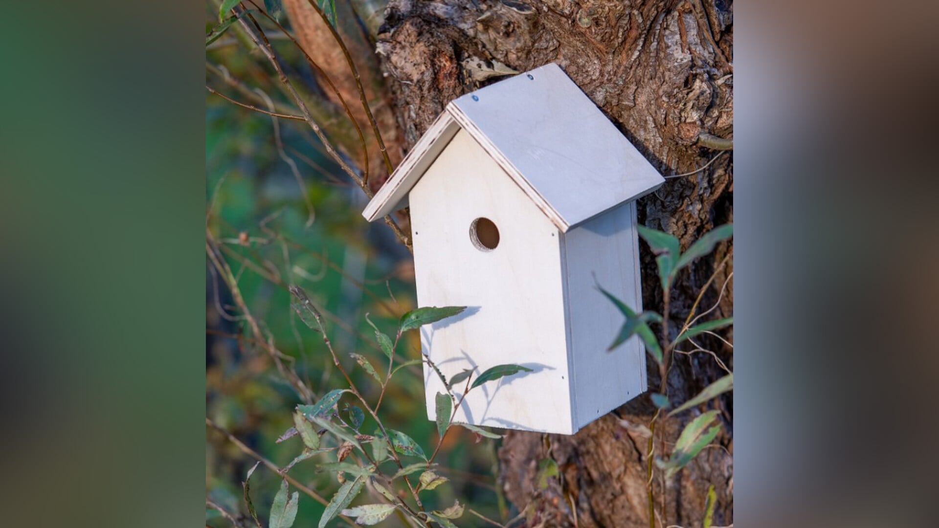 Help de vogels de winter door bij De Kievit