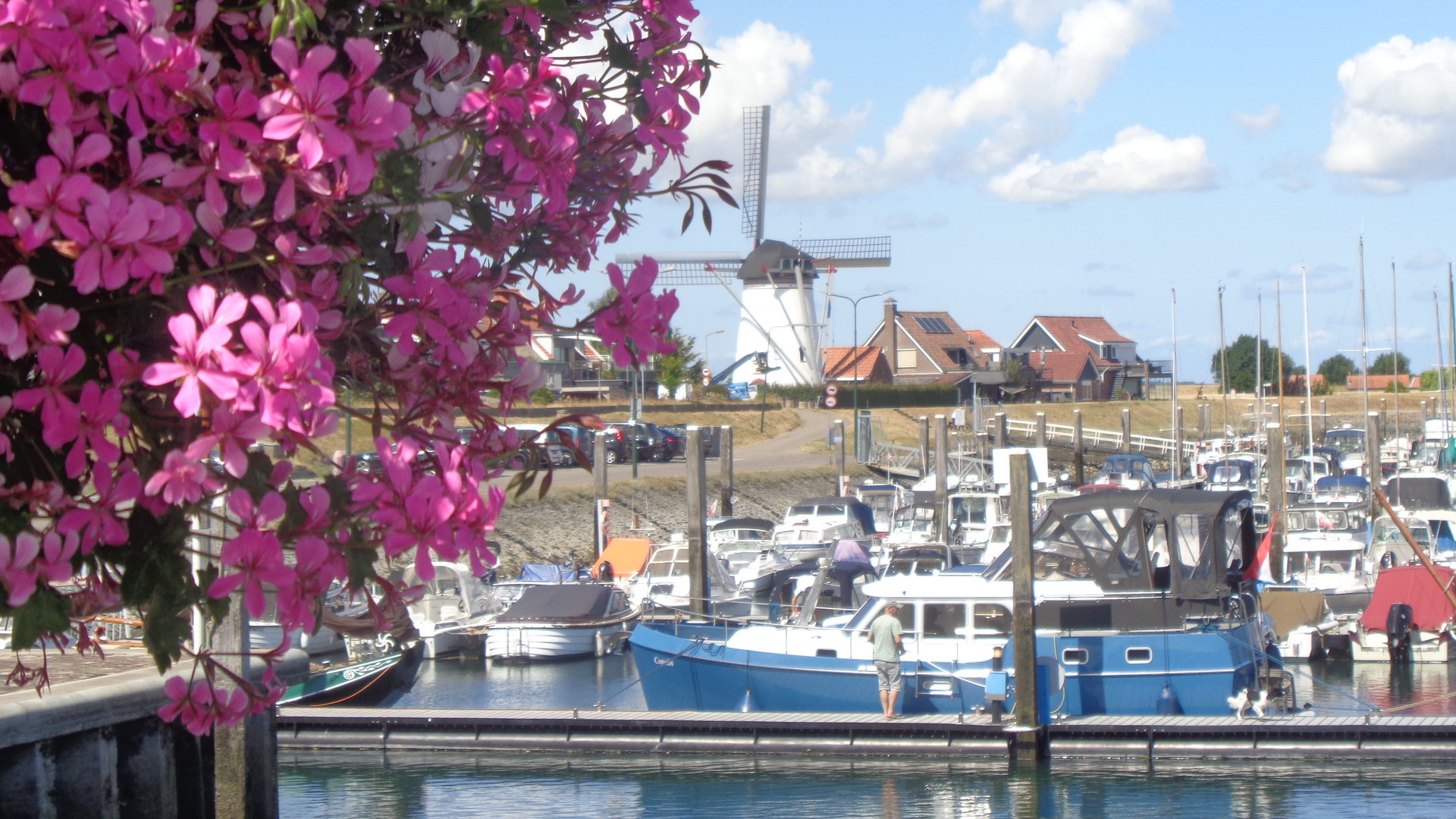 Thoolse-lezersfoto-van-de-week---Uitzicht-bij-haven-Stavenisse-is-uitzonderlijk-mooi-