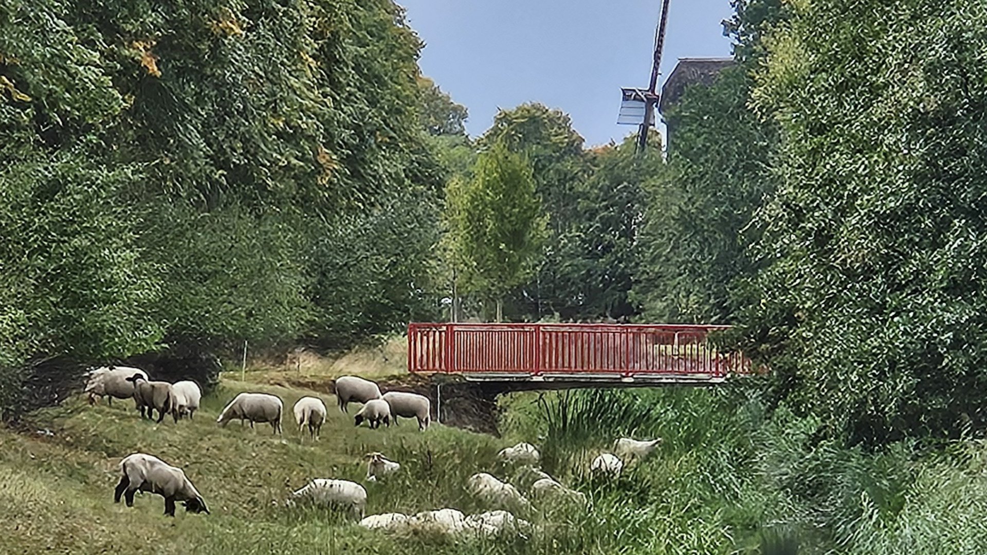 Roosendaalse-lezersfoto-van-de-week-is-gemaakt-door-Kees-Nelissen