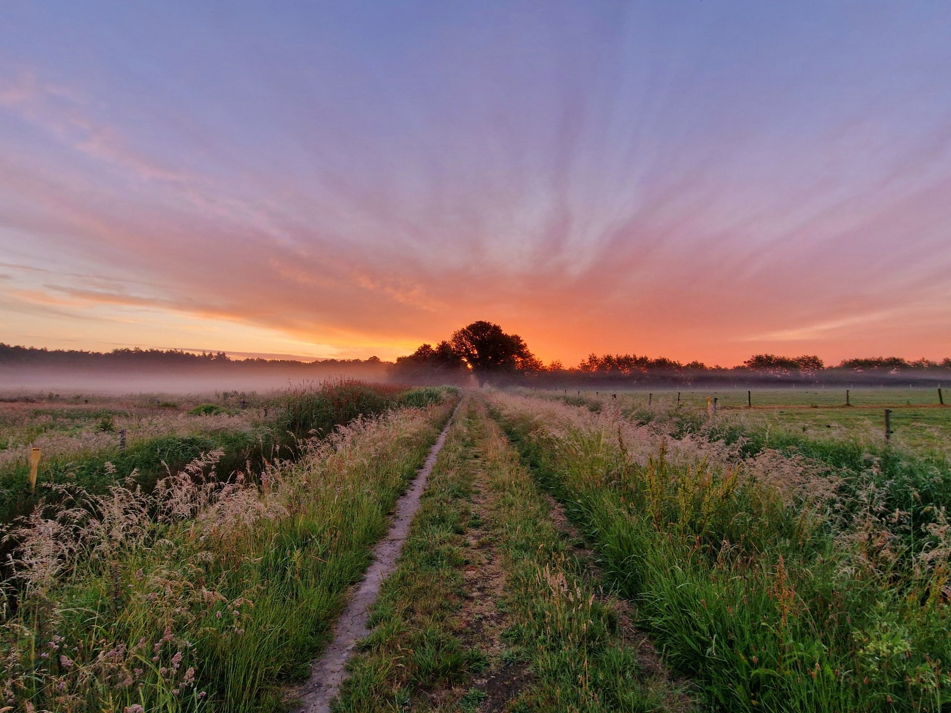 de-zomer-keert-deze-week-even-terug-met-27-graden-later-wisselvallig