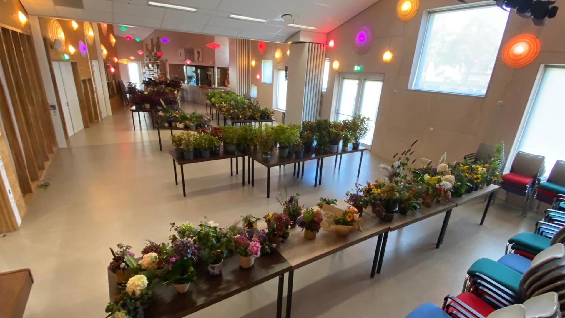 Floralia op It Werflân te Rottevalle: een feest van groeien, bloeien en verwondering