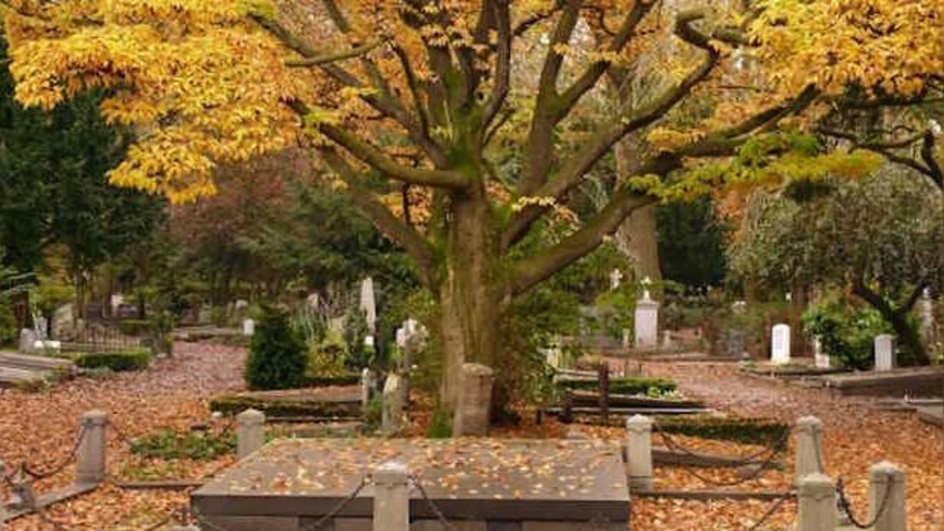 Herfstrondleidingen op monumentale begraafplaats Zorgvlied