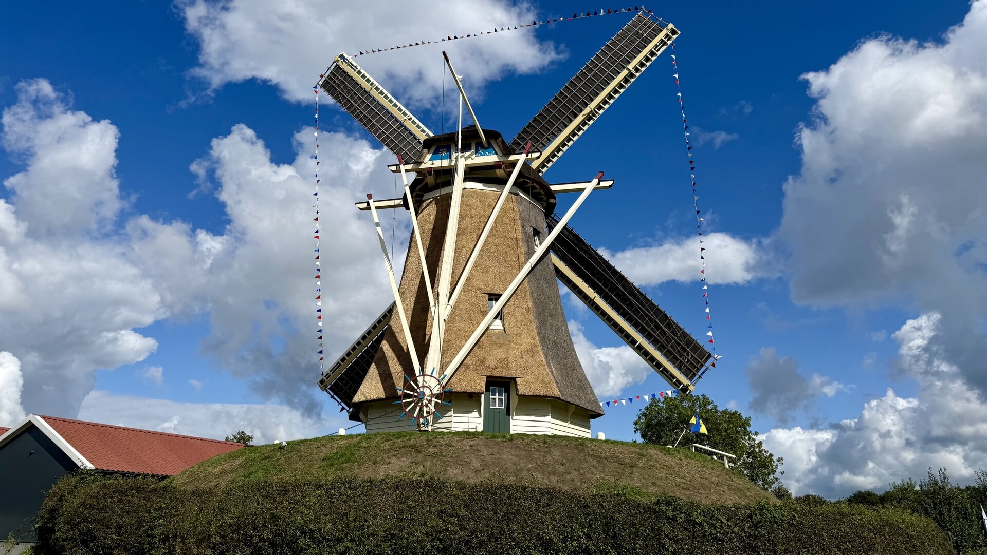 Rietvervanging voorkomt lekkage en slijtage van molen De Duif