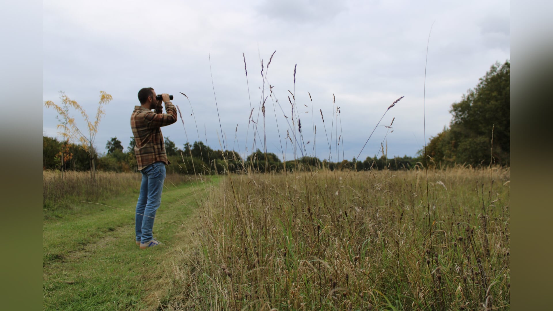 Vogels spotten in de gemeente Oldebroek? Nieuwe app Fladder maakt het leuker én sociaal