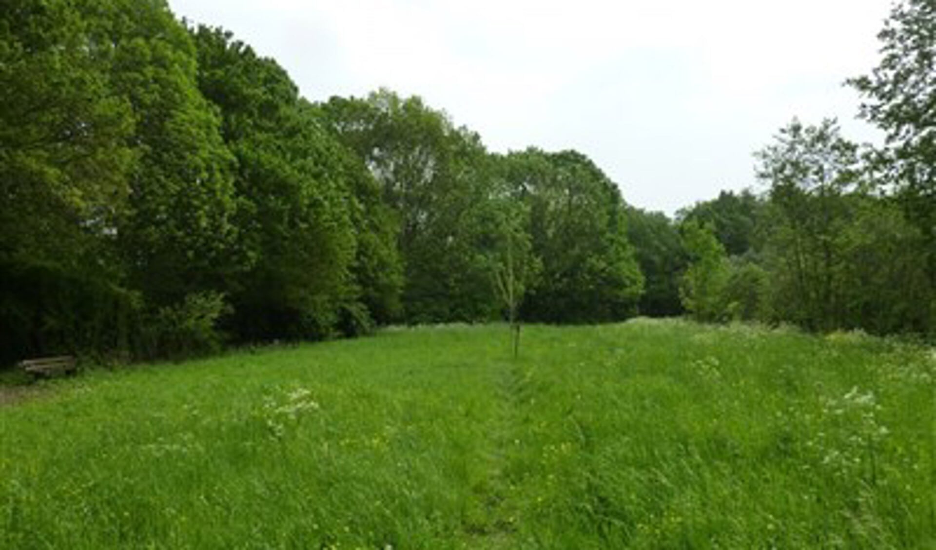 Hagesteinse bos erkend als Kern met Pit