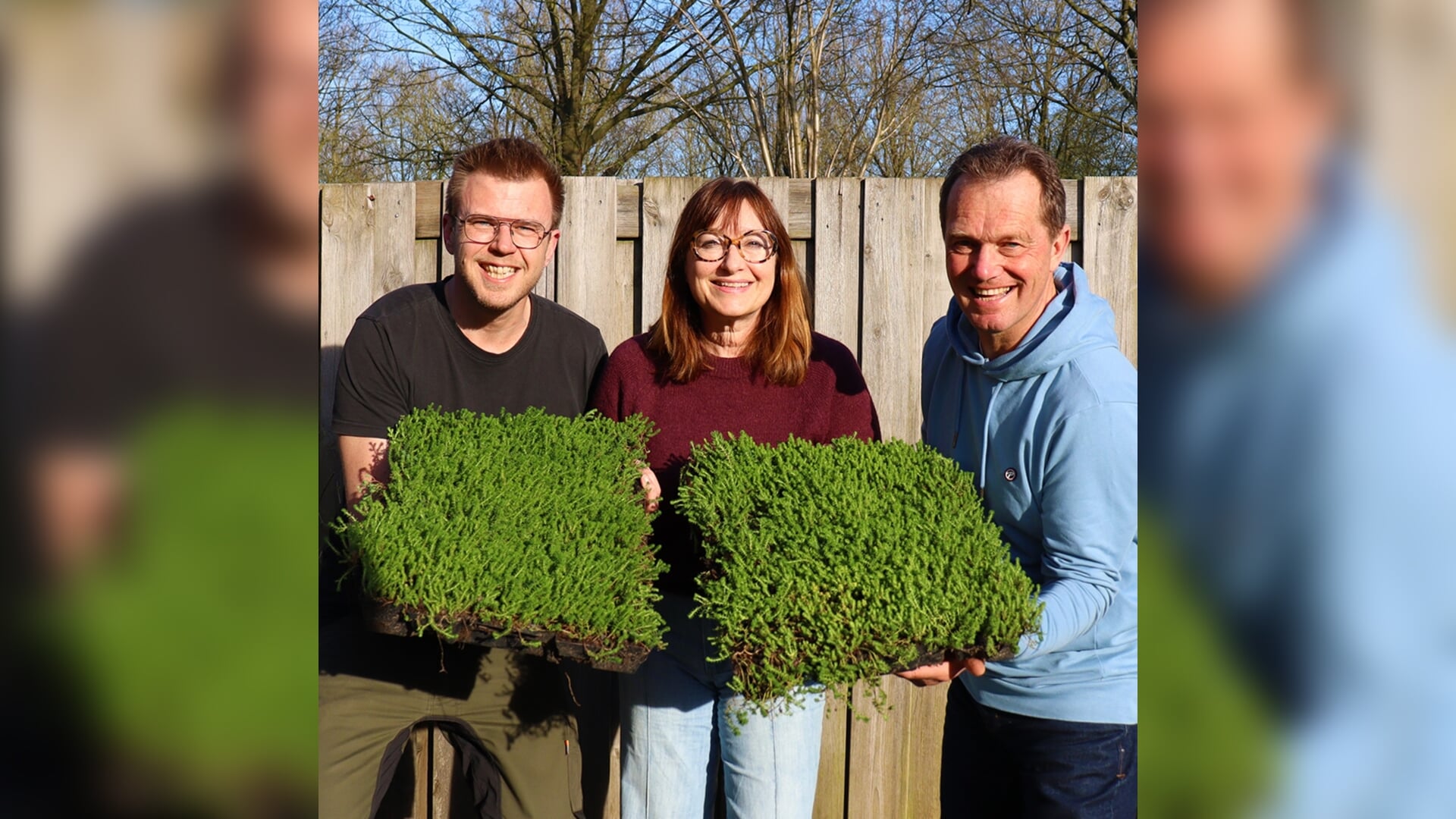 Groene daken actie in De Tol: doe mee! Informatieavond 30 april ...