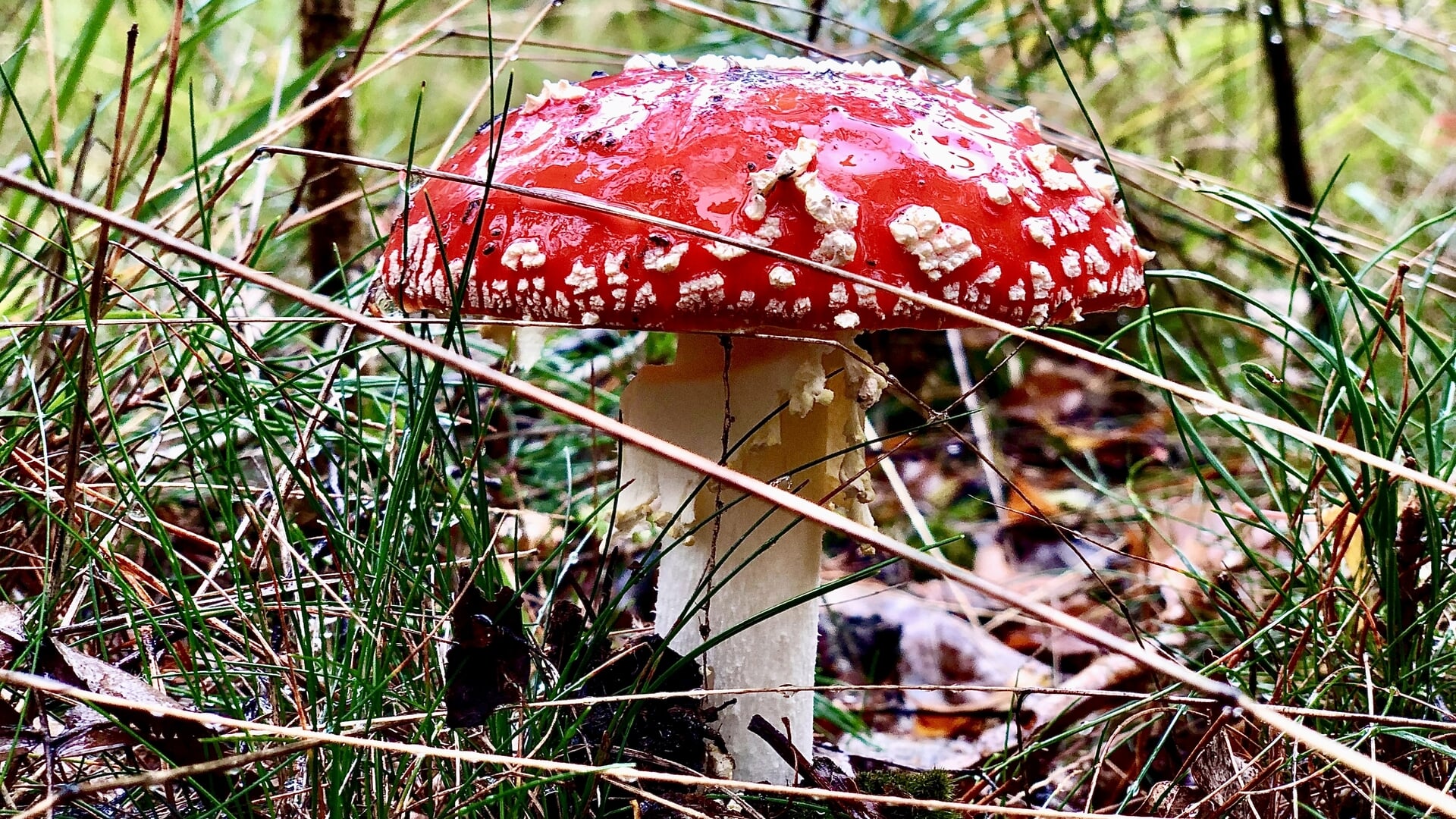 Genieten van een schitterende herfst