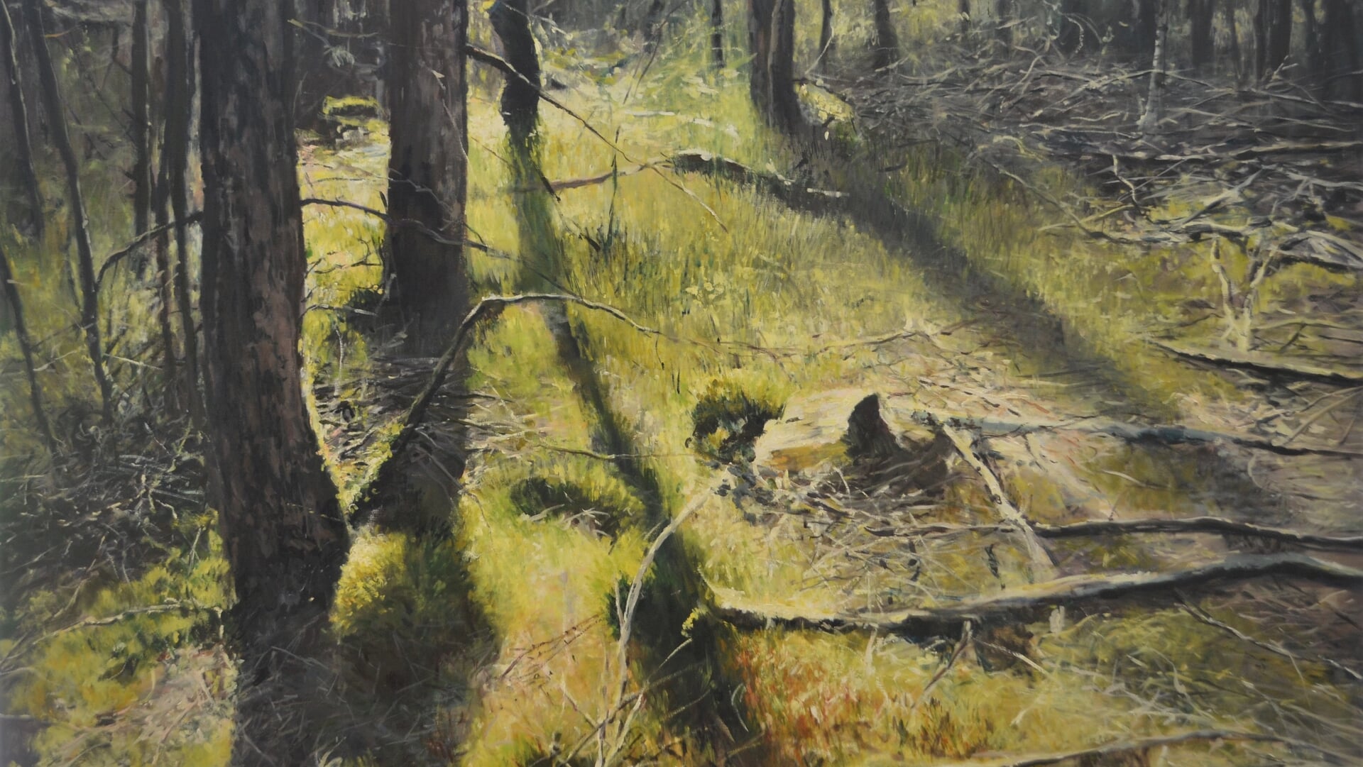 Expositie Jan Pieter Foppen toont Veluwse landschappen