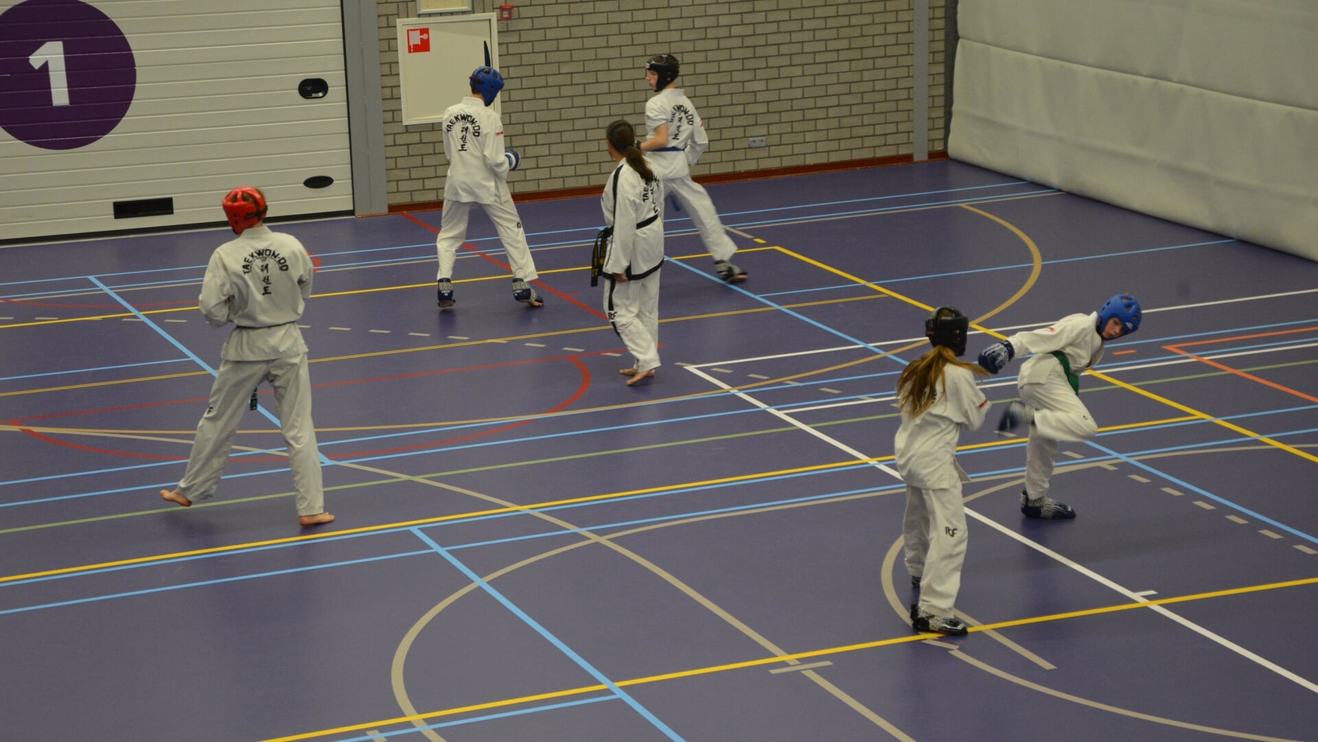 NK Taekwon-Do spektakel in de regio
