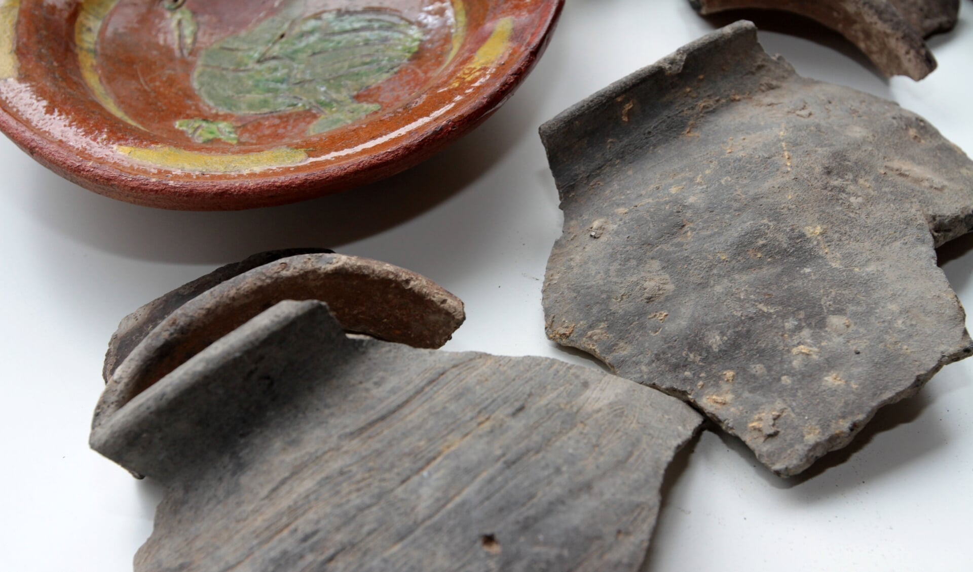 Archeologiedag bij Rundveemuseum