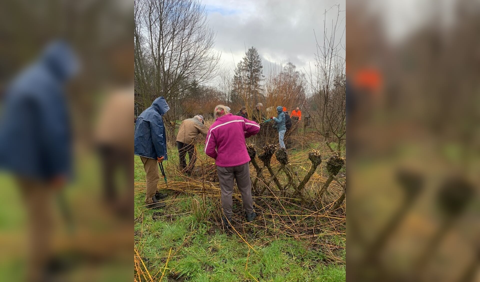 IVN en KNNV Natuurwerkdag in Winterswijk Kotten