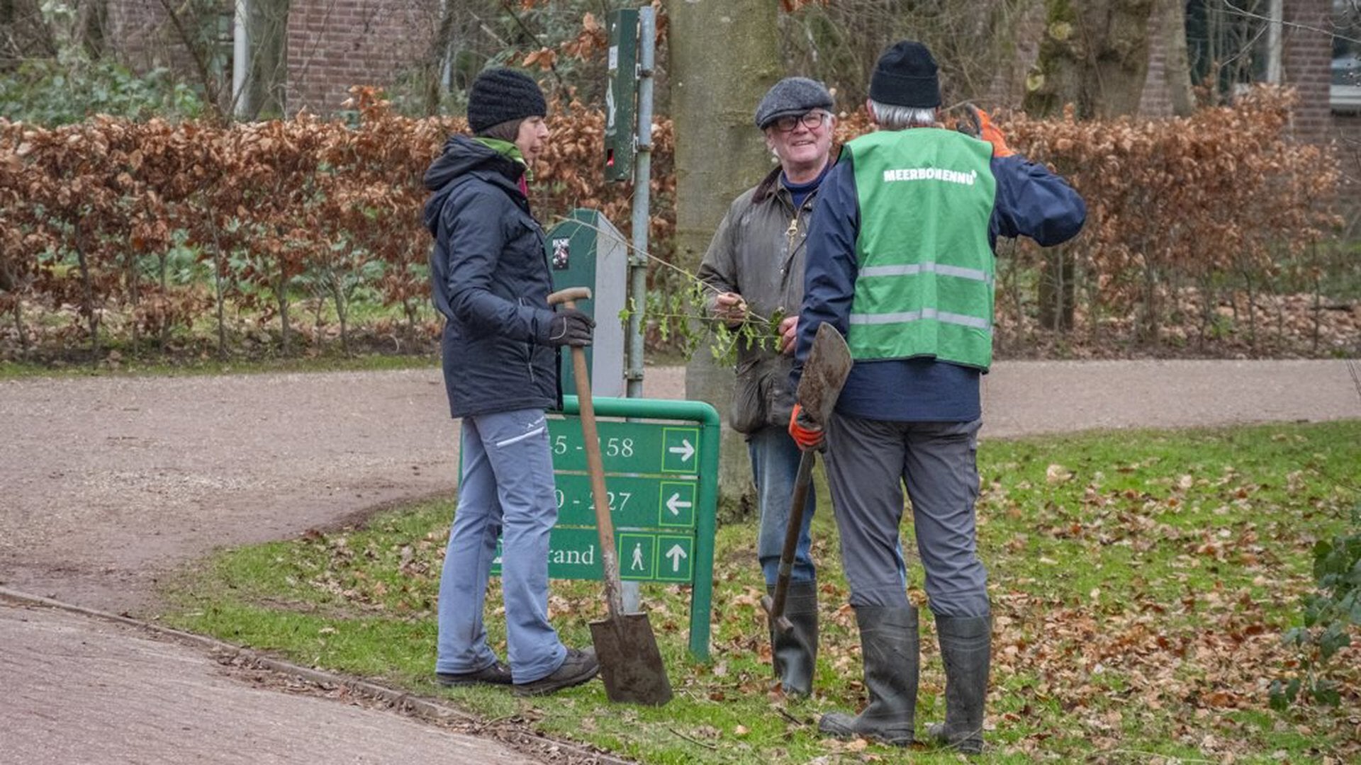 Jonge boompjes krijgen nieuwe bestemming