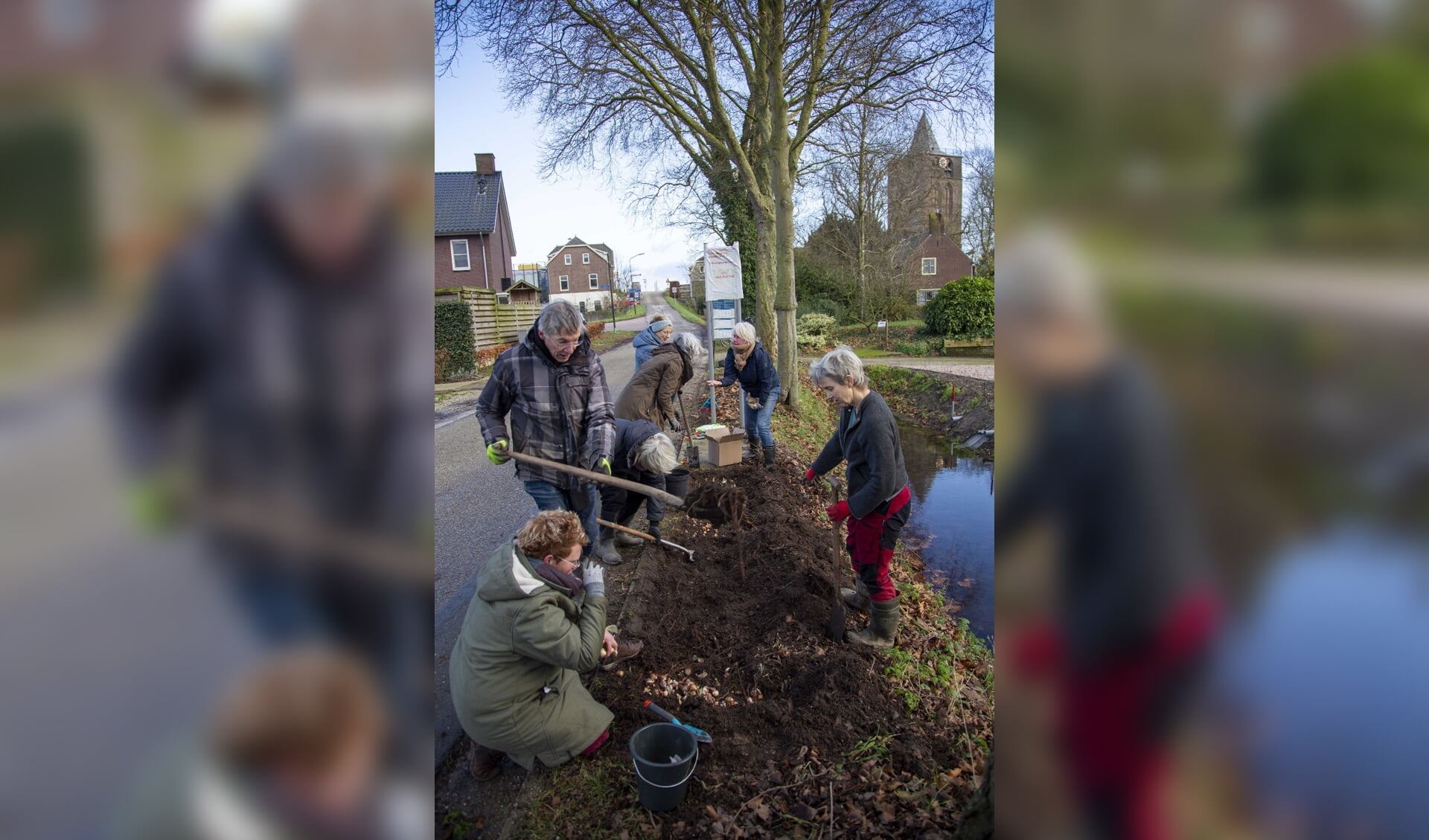 4000 biologische bollen in Varik