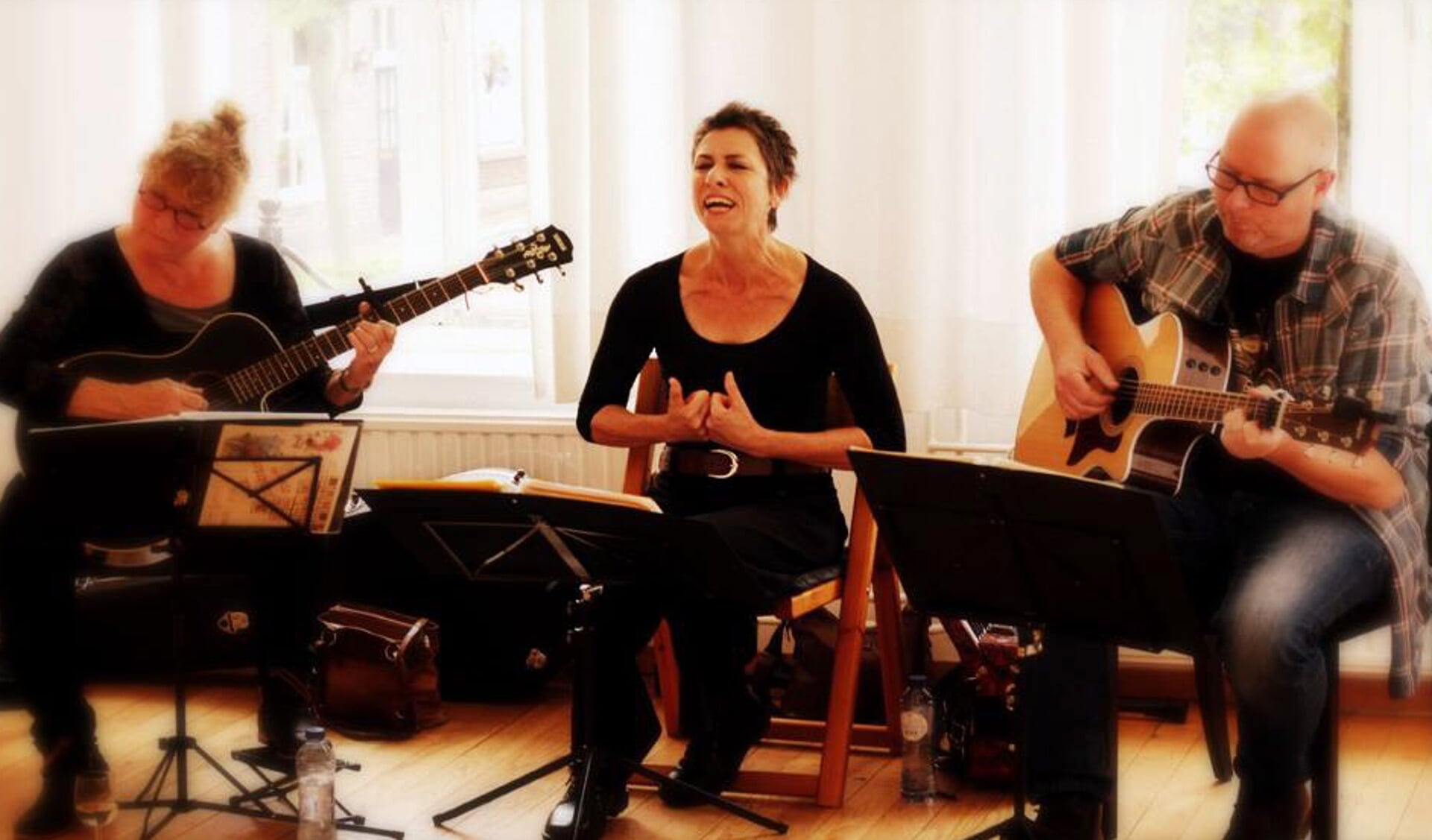 Muziek in de familie Langenboom: 9 acts en 2 uur muzikaal vertier
