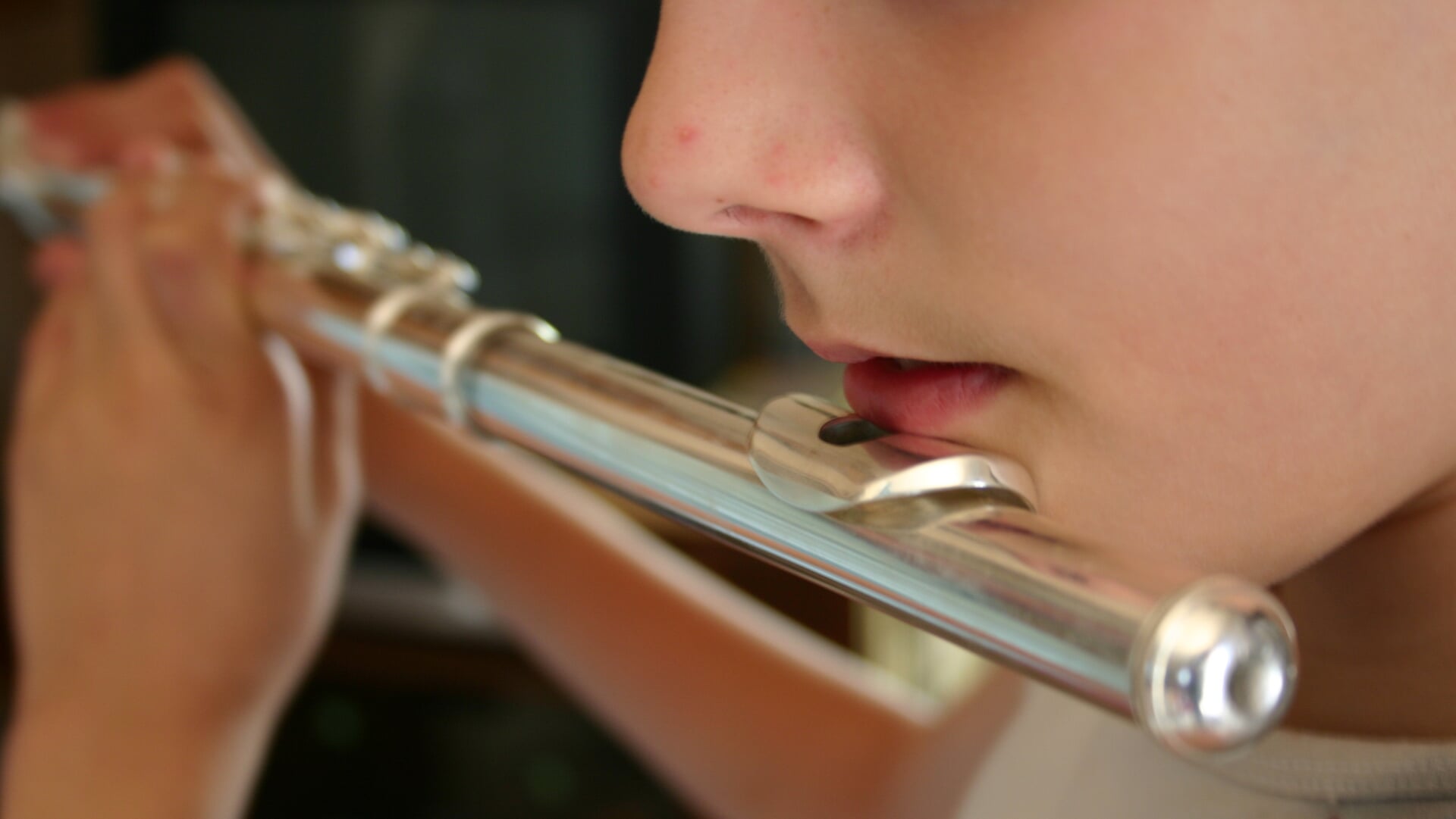 Veteranenconcert in Maurikse sporthal Lignum