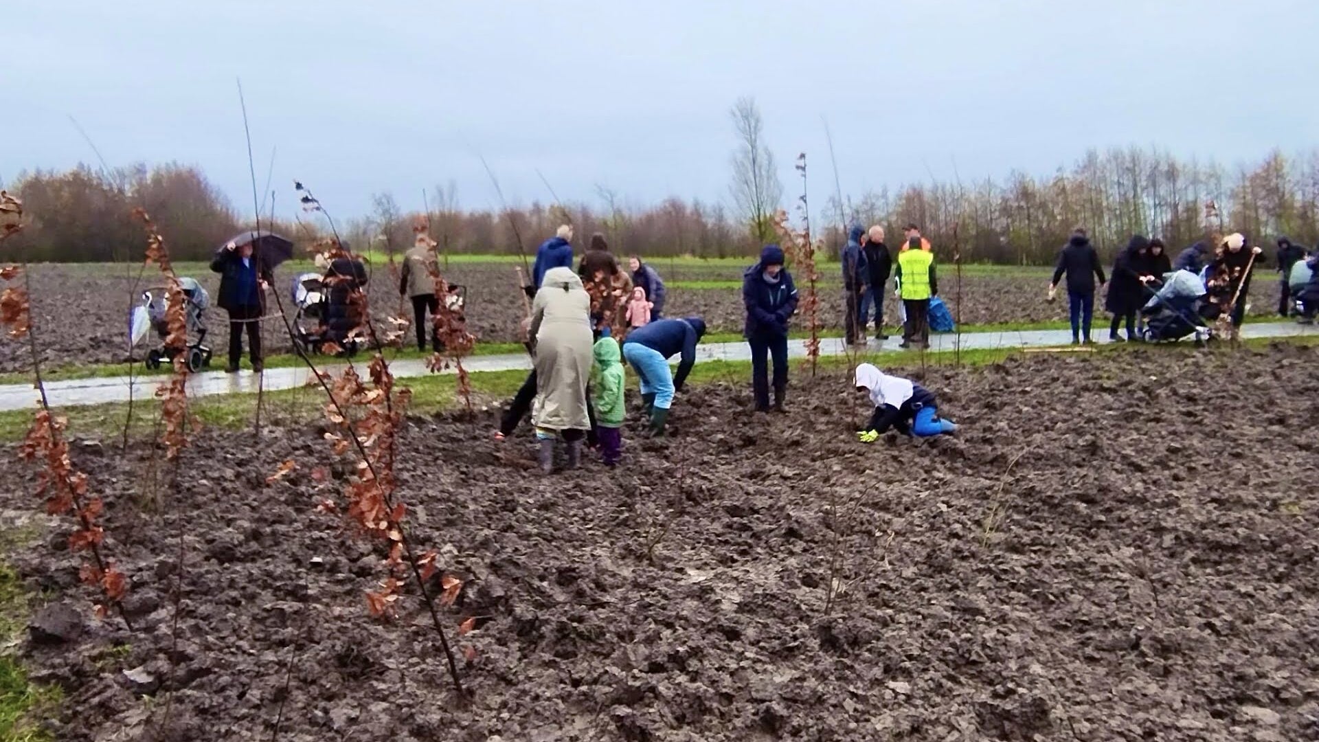 55 kinderen krijgen hun eigen boom in Geboortebos Park Zwanenburg