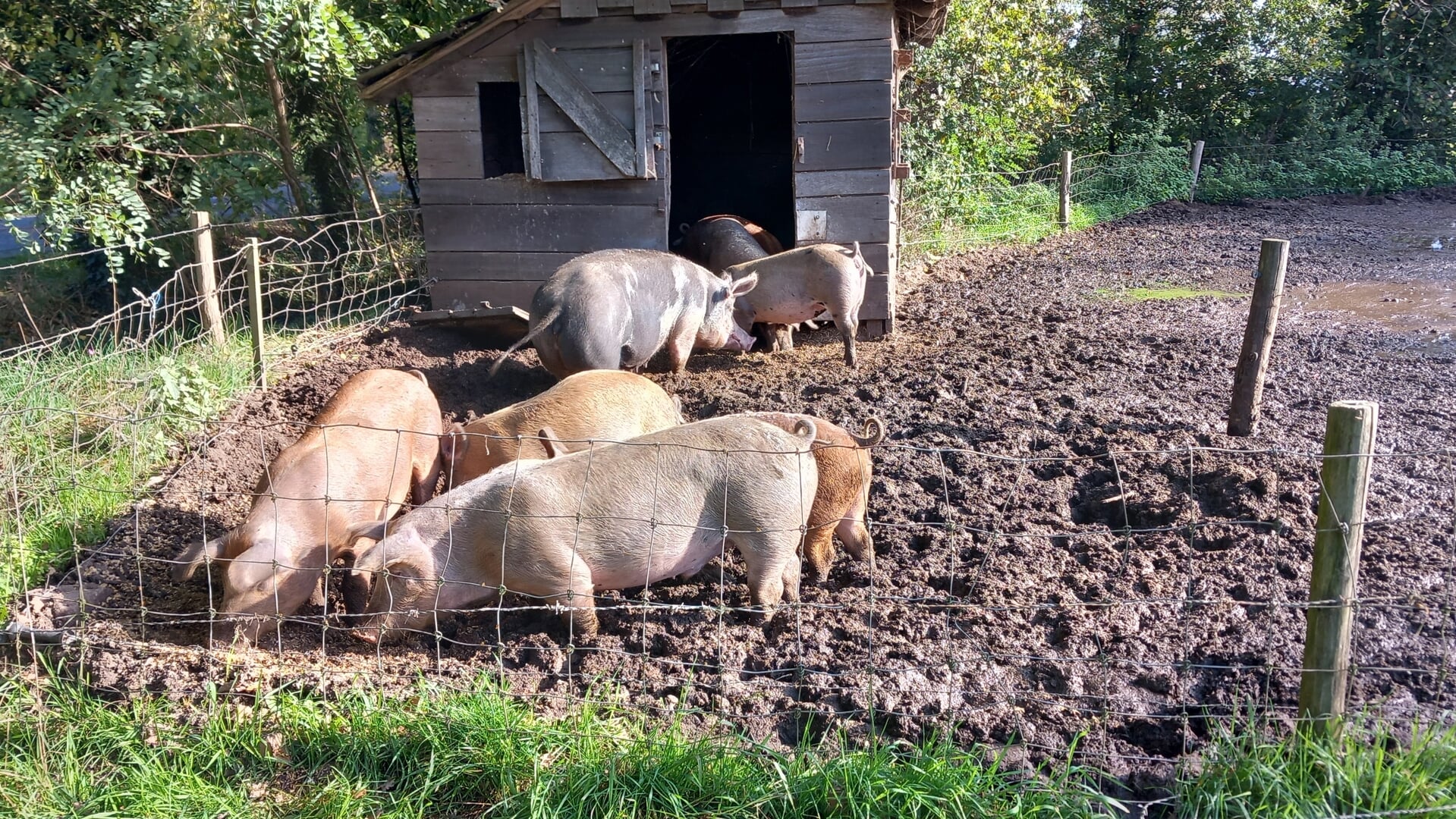 Lezing ‘Op weg naar een houdbare landbouw’