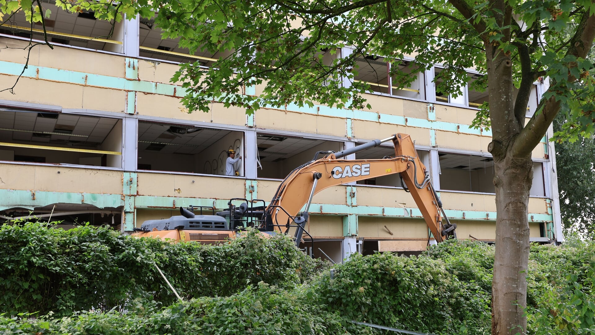 Vleermuizen mogen op NCCW-terrein blijven wonen