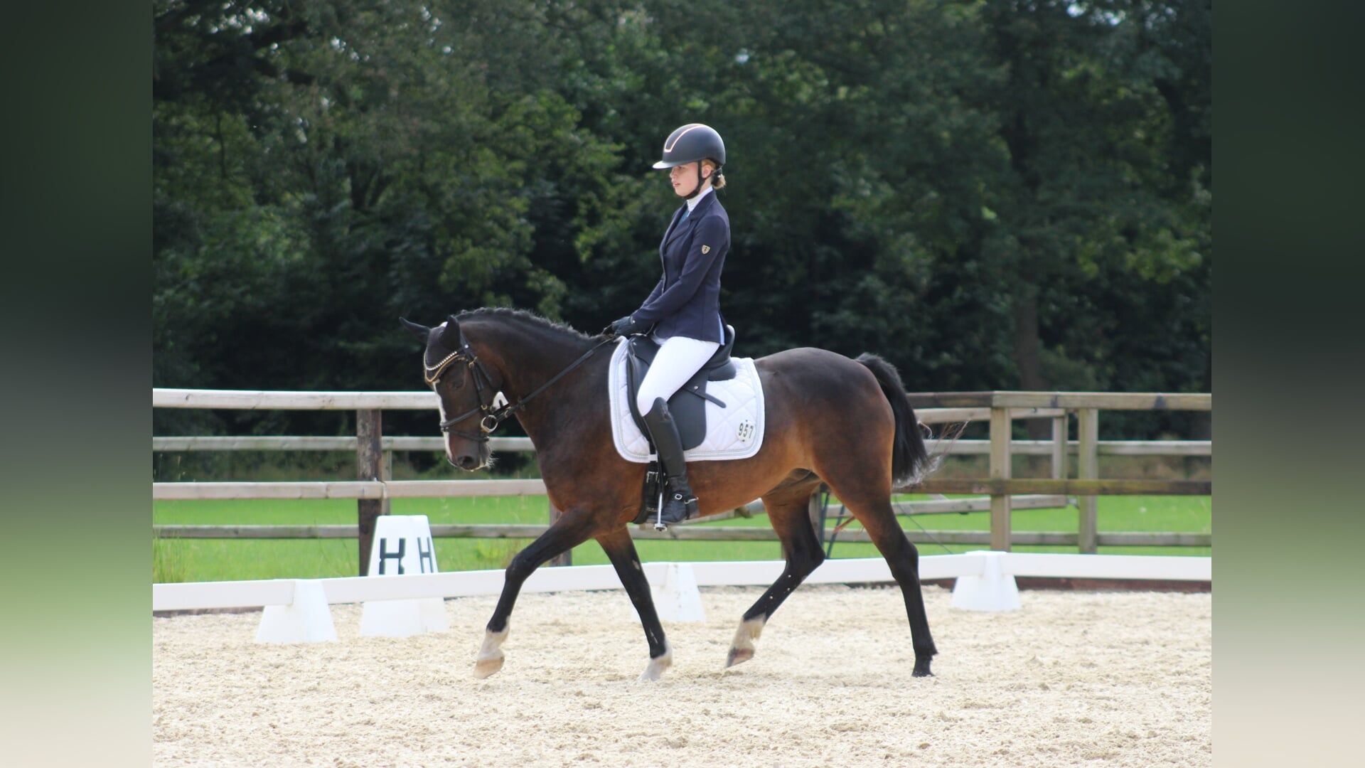 Regiokampioenschap en selectiewedstrijd dressuur pony’s bij Paardensportvereniging Aalten