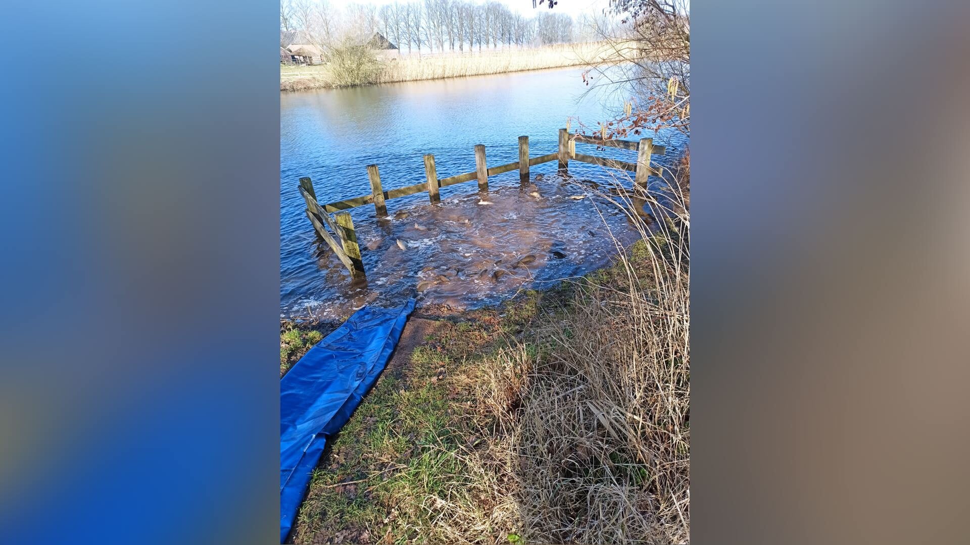 Hengelaars van De Brasem Steenderen vergaderen