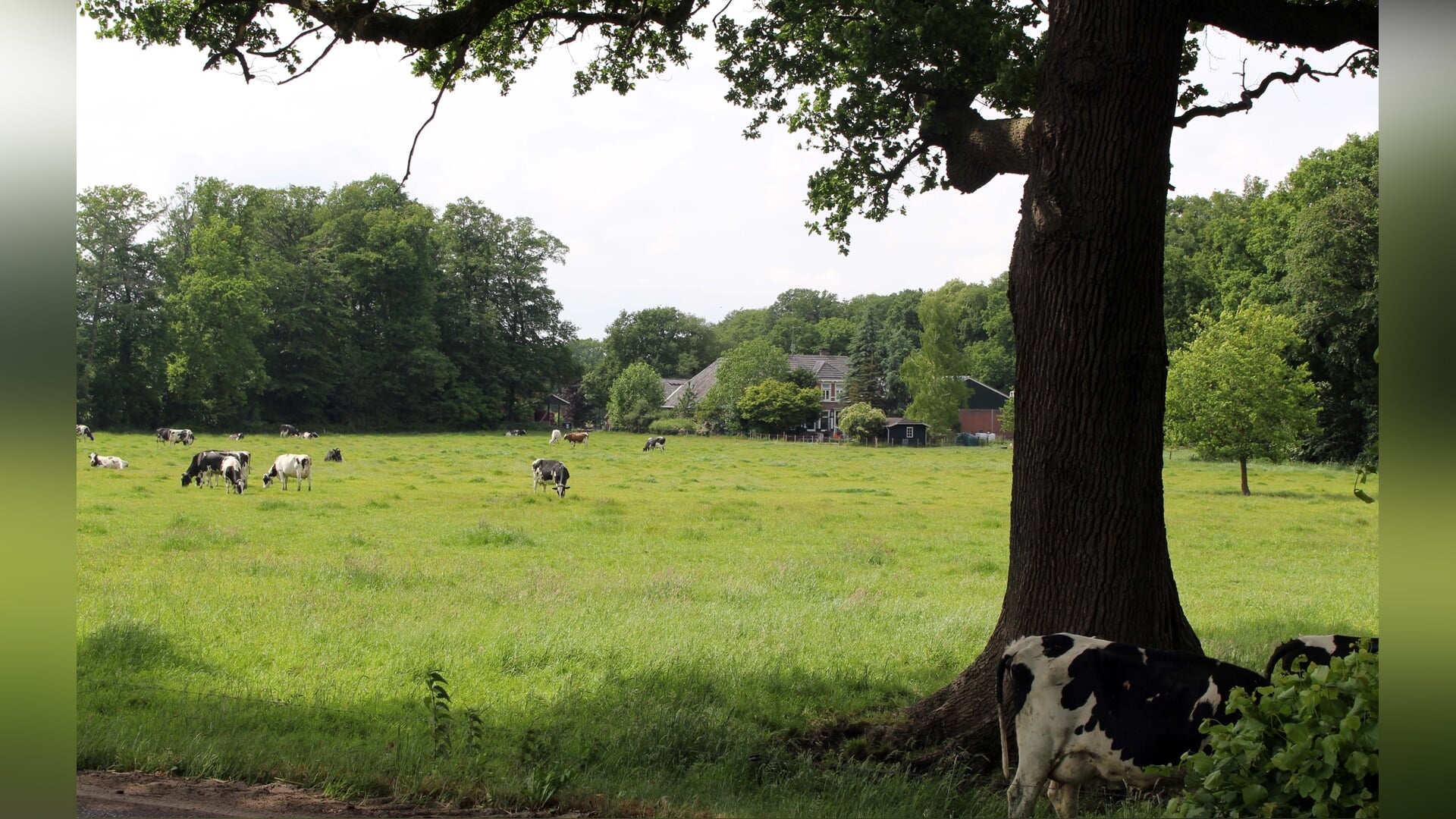 Cultuur- en natuurhistorische wandeling in Woold door IVN en KNNV