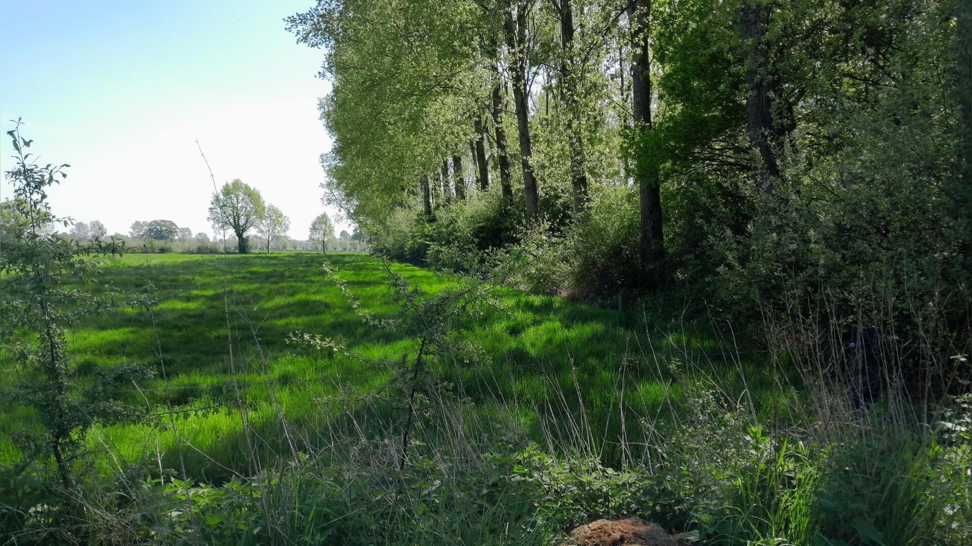 Informatiebijeenkomst perceel Land van Ons