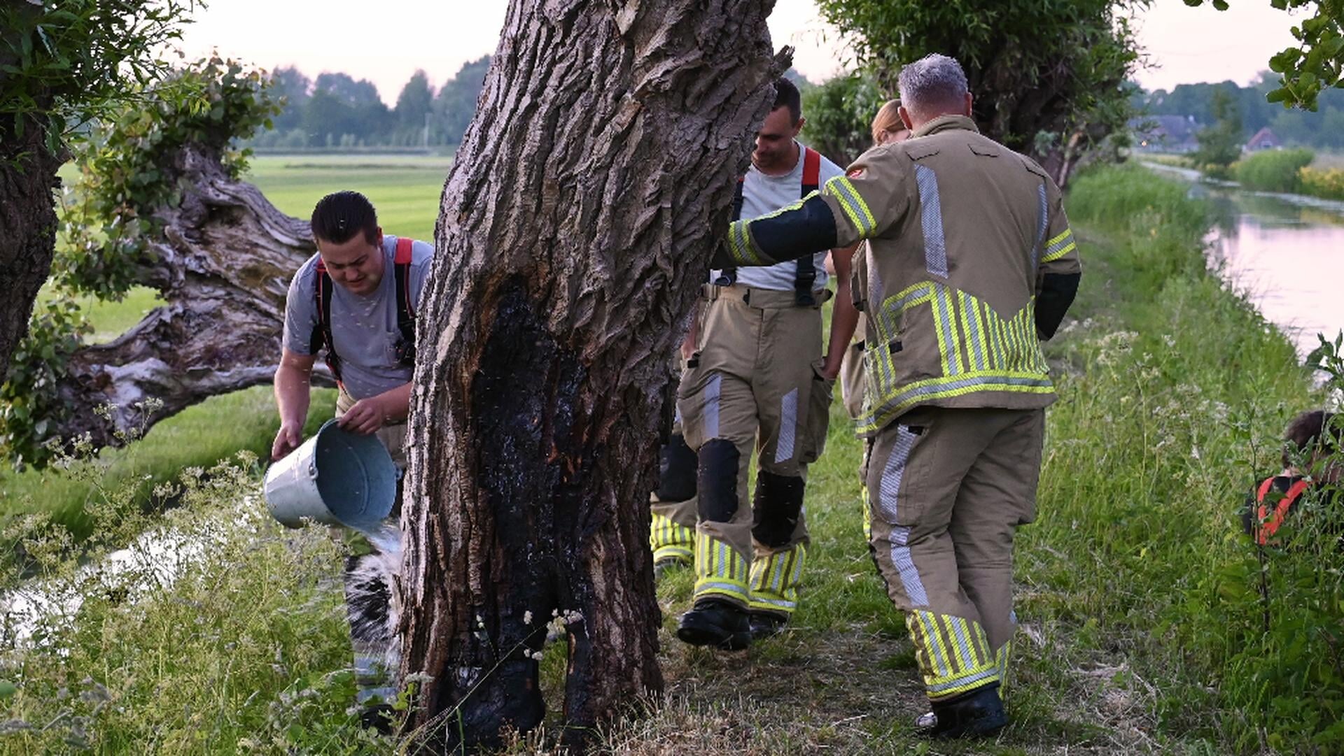 Boom in brand aan de Zijlkade in Lexmond