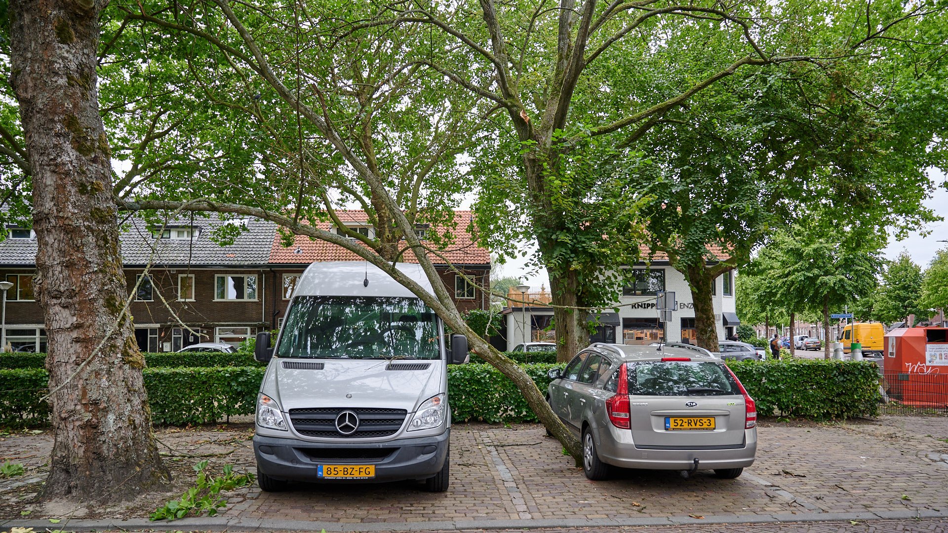 Zware windstoten en code geel in Brabant: ‘Veel takken zullen afbreken ...
