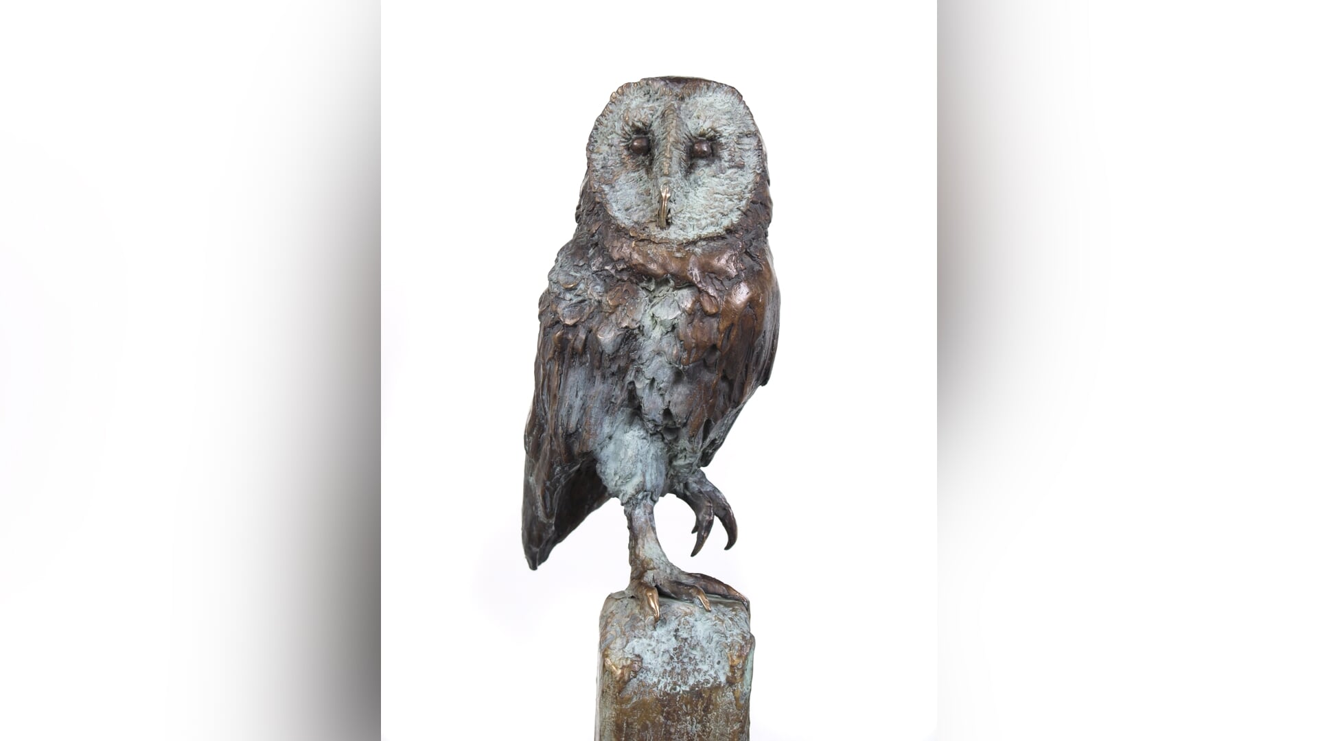 Expositie Dieren in Beeld