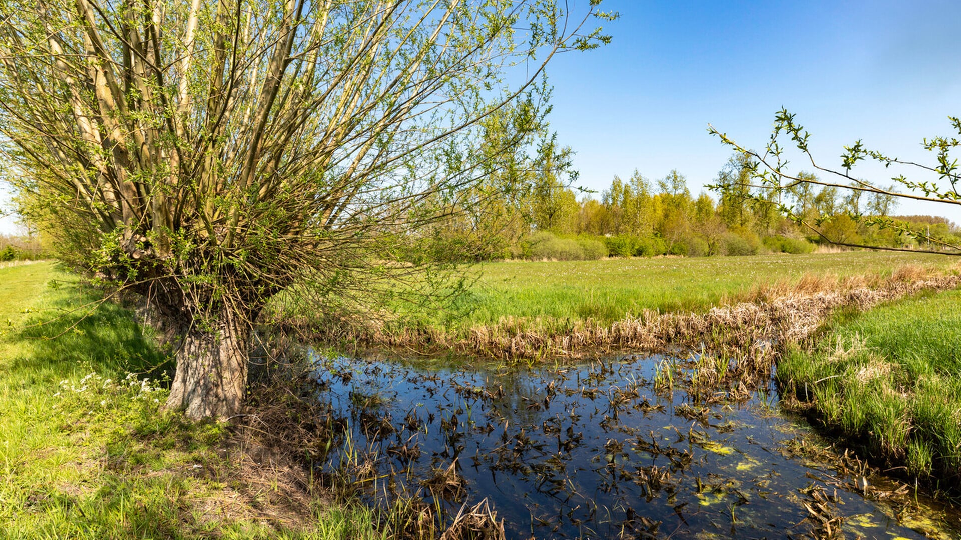 Door de natuur wandelen met boswachters