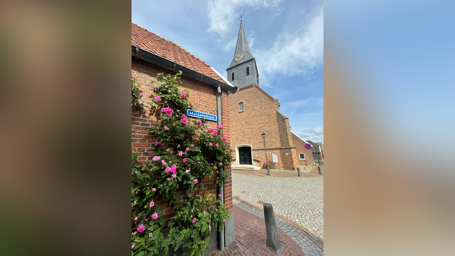 Rooskleurig Bredevoort: gratis gevelklimrozen voor bewoners