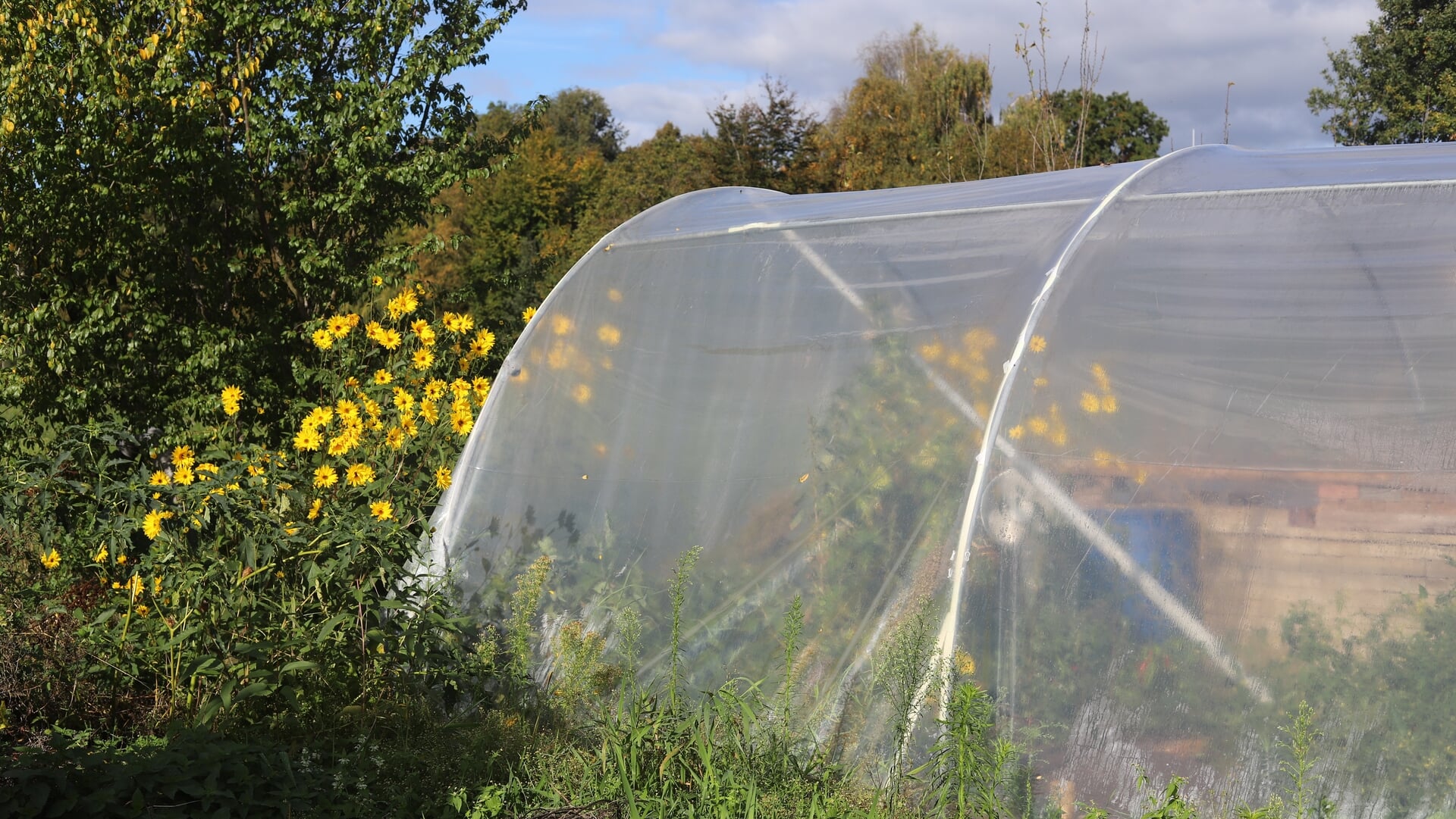 Meer dieren, meer planten, meer vruchten