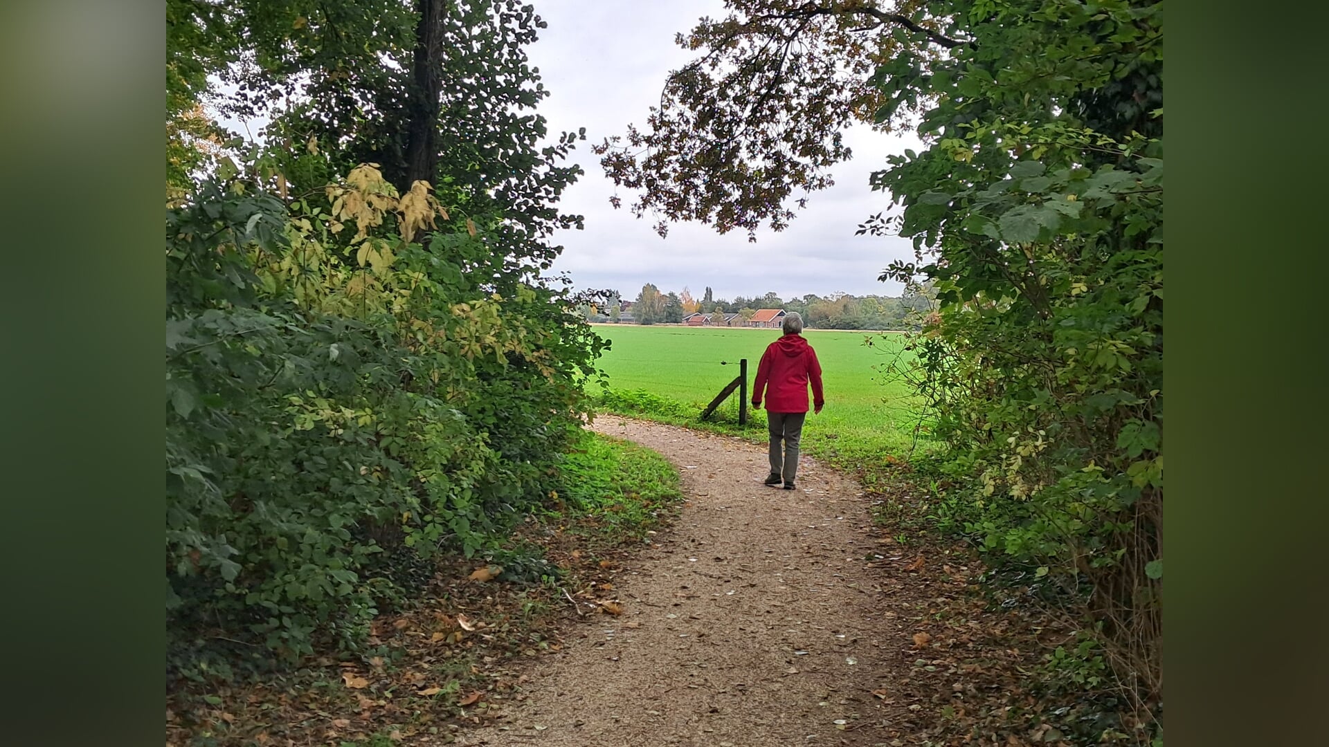 VVV-wandeltocht in najaarsentourage