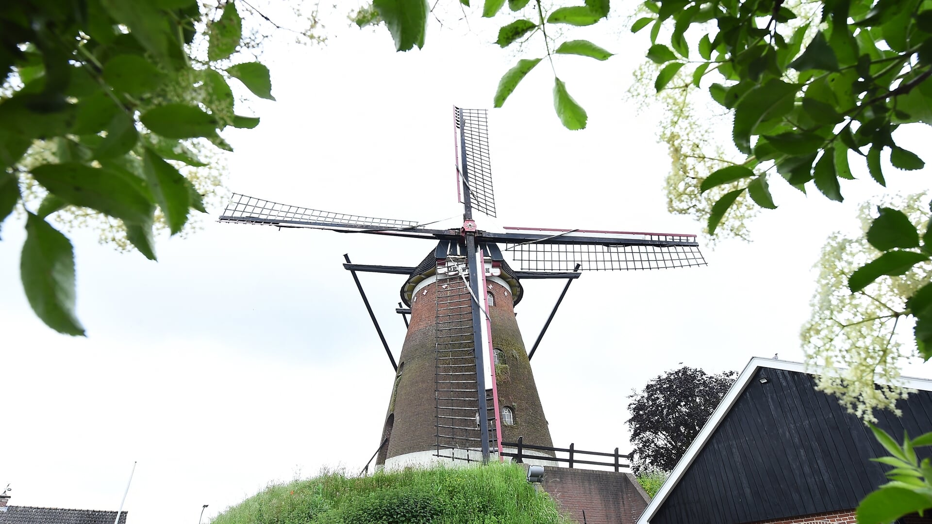 Burgemeester Boumans opent Gelderse Molendagen