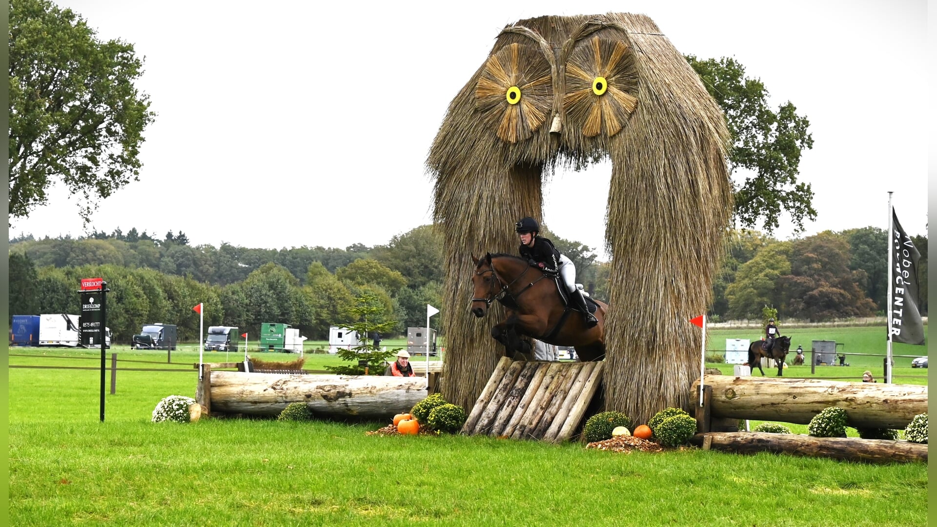 Anouk Elferink van RSV Barchem Gelders kampioen Eventing