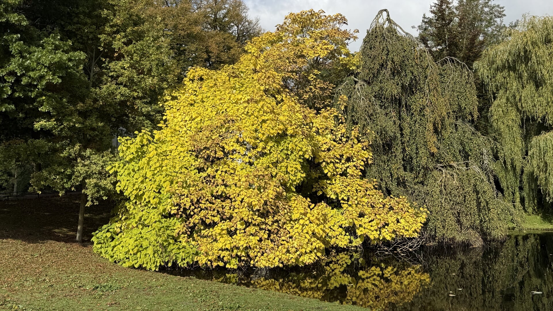 Hoe de natuur zich voorbereidt op de winter