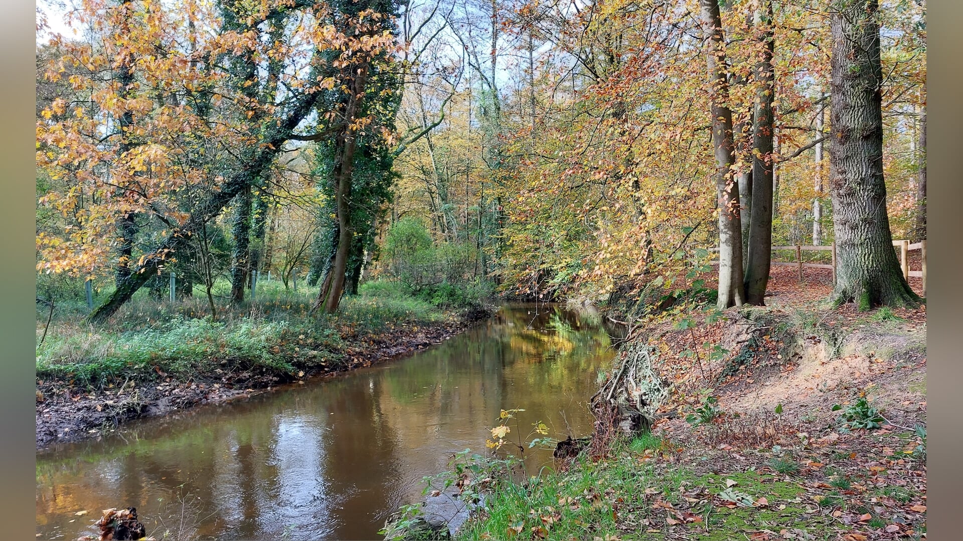 Waterleven in de beken en sloten in de Achterhoek