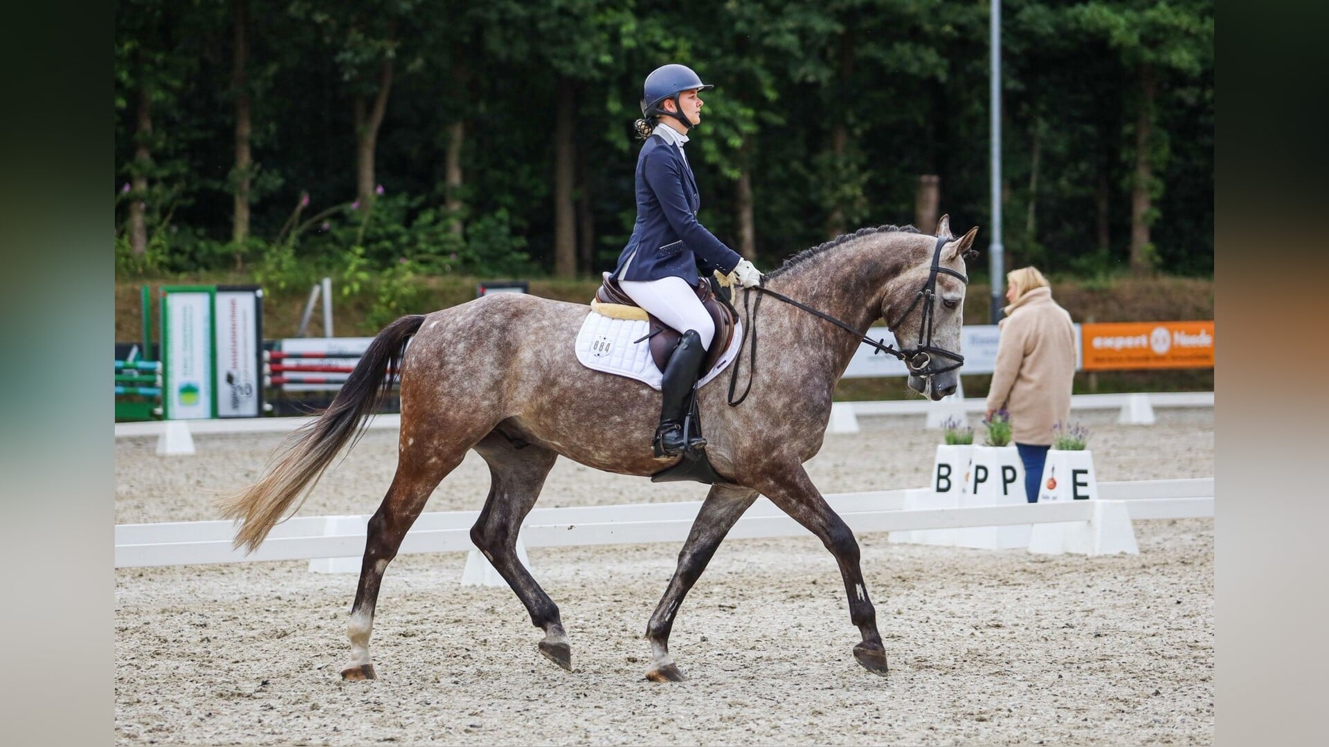 Pasruiters op podium
