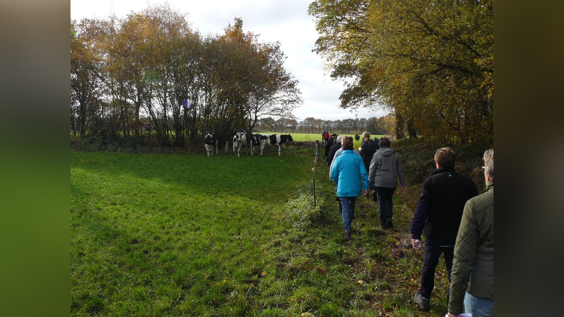 Gengeltocht rondom Vragender