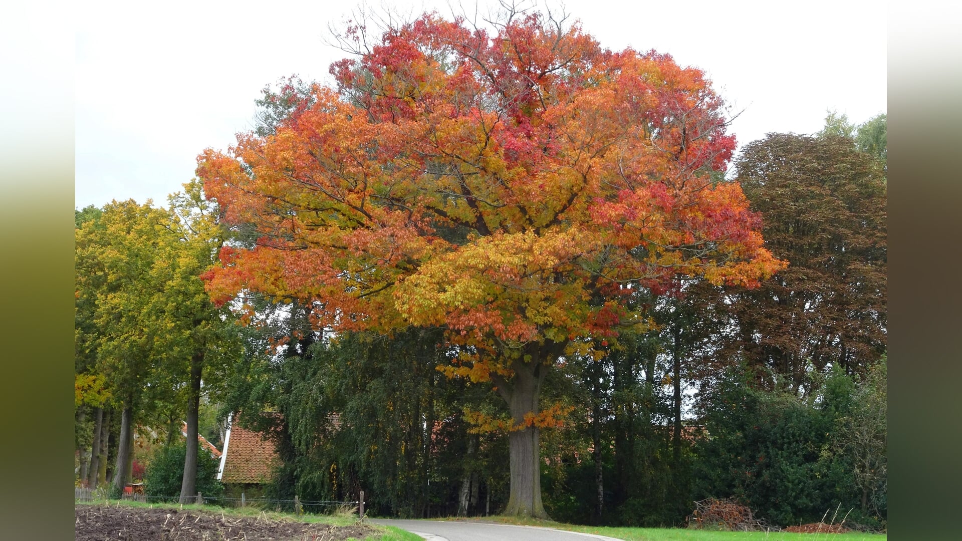 Herfstwandeling door grensgebied bij Kotten