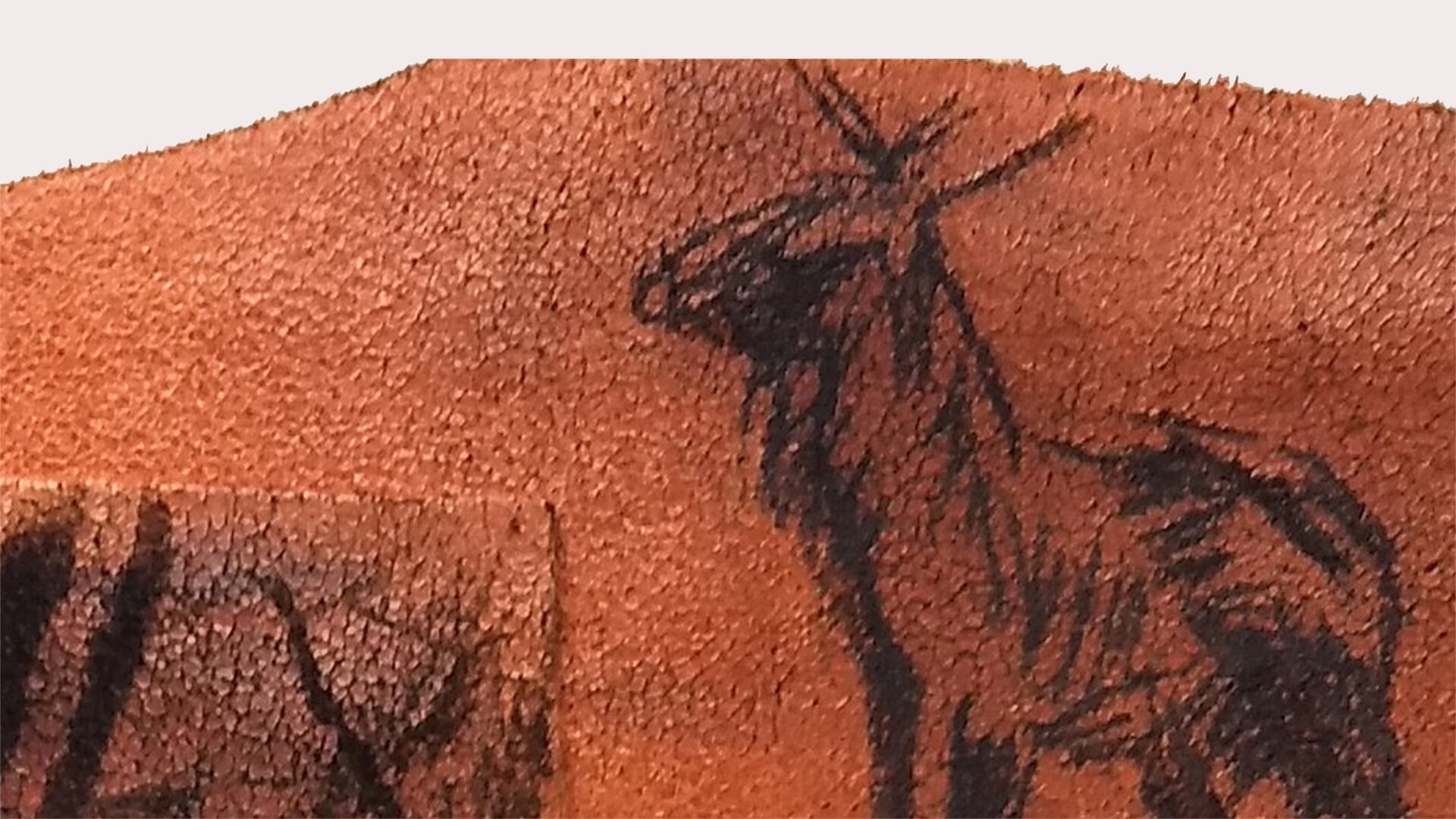 Expo ‘Draag de kunst, Ambacht gedeeld’ in Koppelkerk