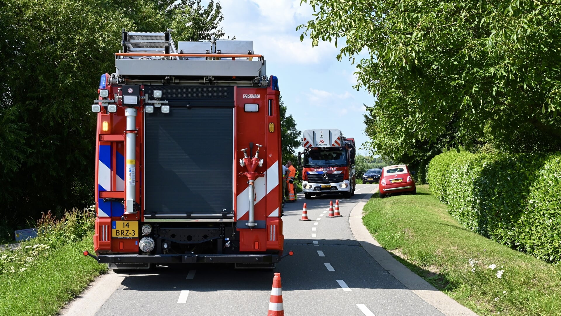 Gemeente zet stuk van Lingedijk af vanwege gevaarlijke takken