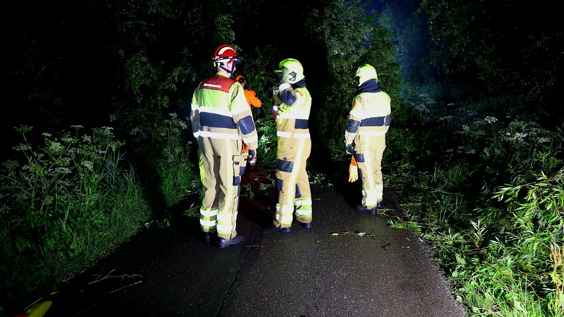 Boom op de weg in Heukelum door het weer