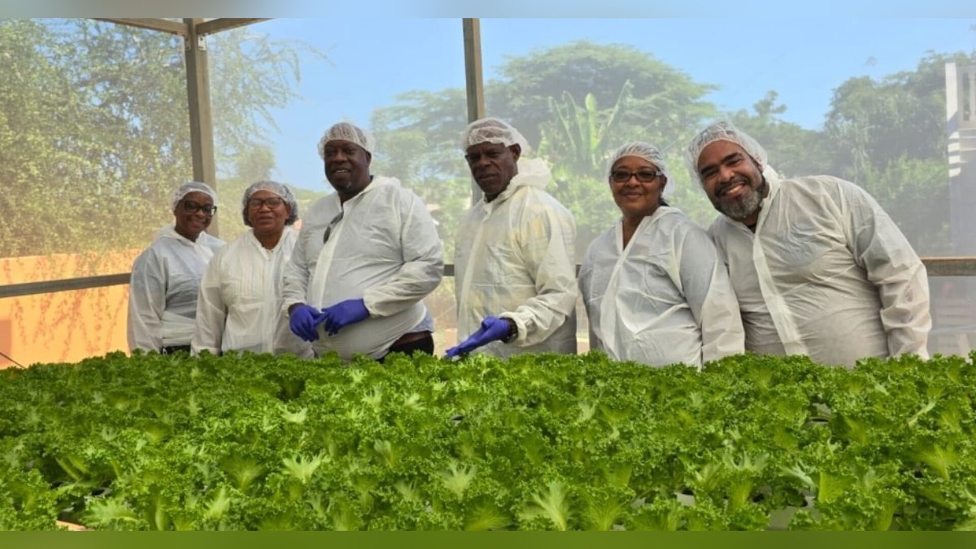 Statia Delegation Tours CurHyro, Exploring Sustainable Agriculture ...