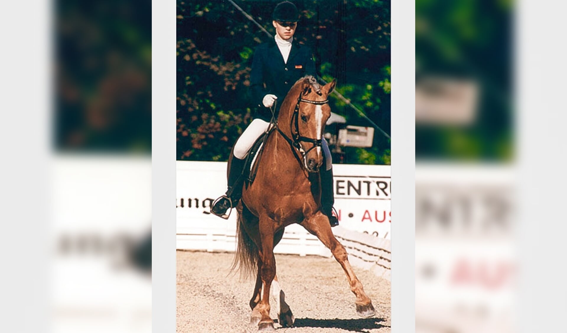 Domino Dancing, das beste deutsche Pony, ist gestorben