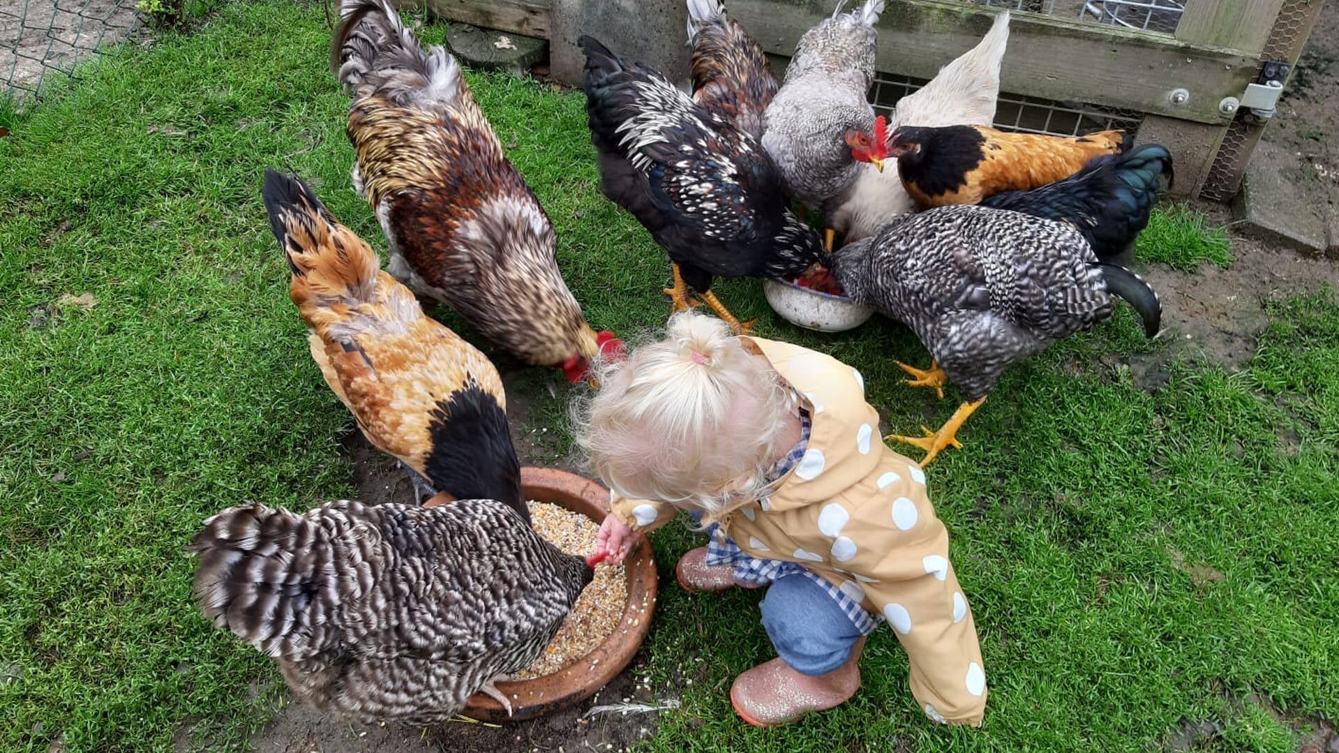 Chapeau Kinderwerk, OBS De Bloeiende Betuwe en OBS D’n Bogerd gaan samenwerken