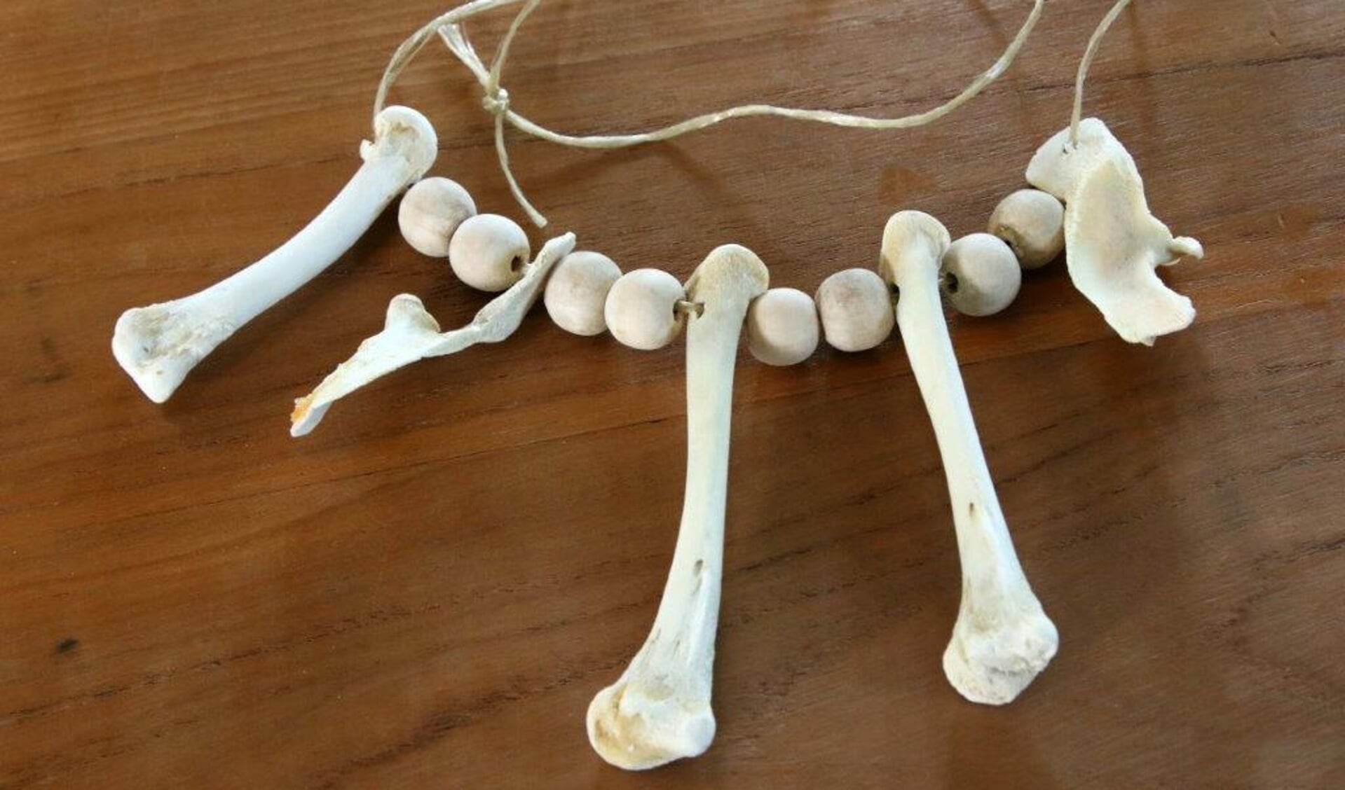 ‘De Bottendokter’ komt op bezoek in het Rundveemuseum