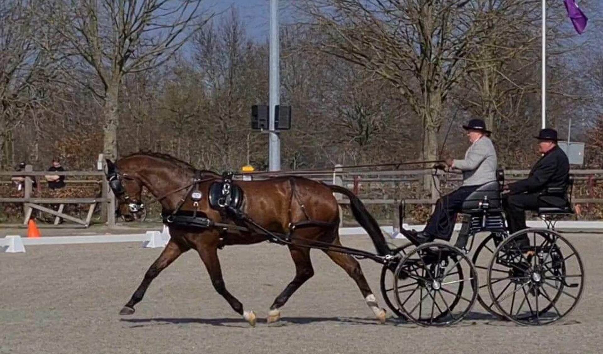 Van een ezel voor de wagen, naar het WK in Le Pin-au-Haras - Hét ...