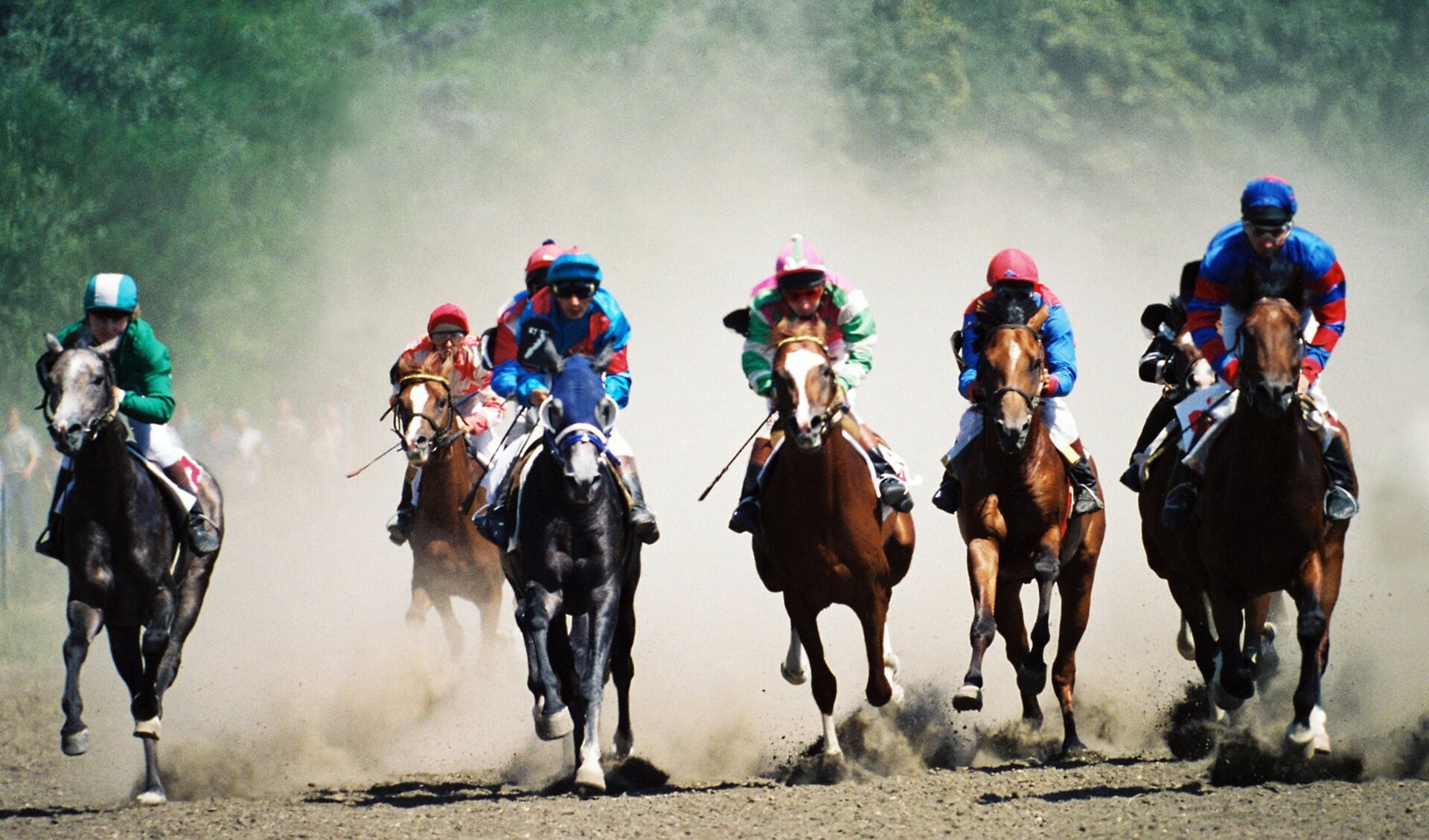 Why is horse racing one of the best sports you should become a fan of in 2022?