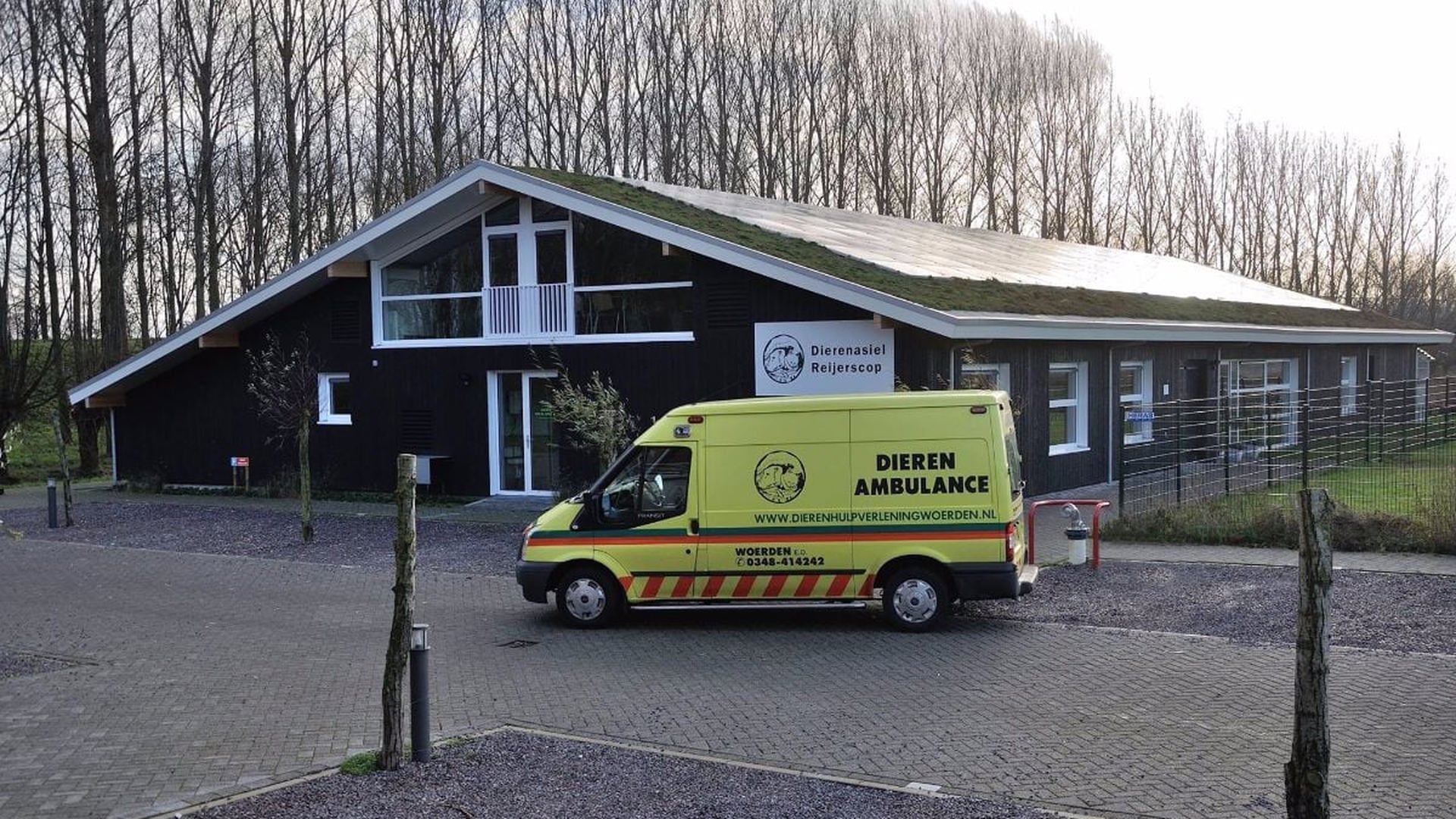 Open asieldag bij dierenopvang in Harmelen
